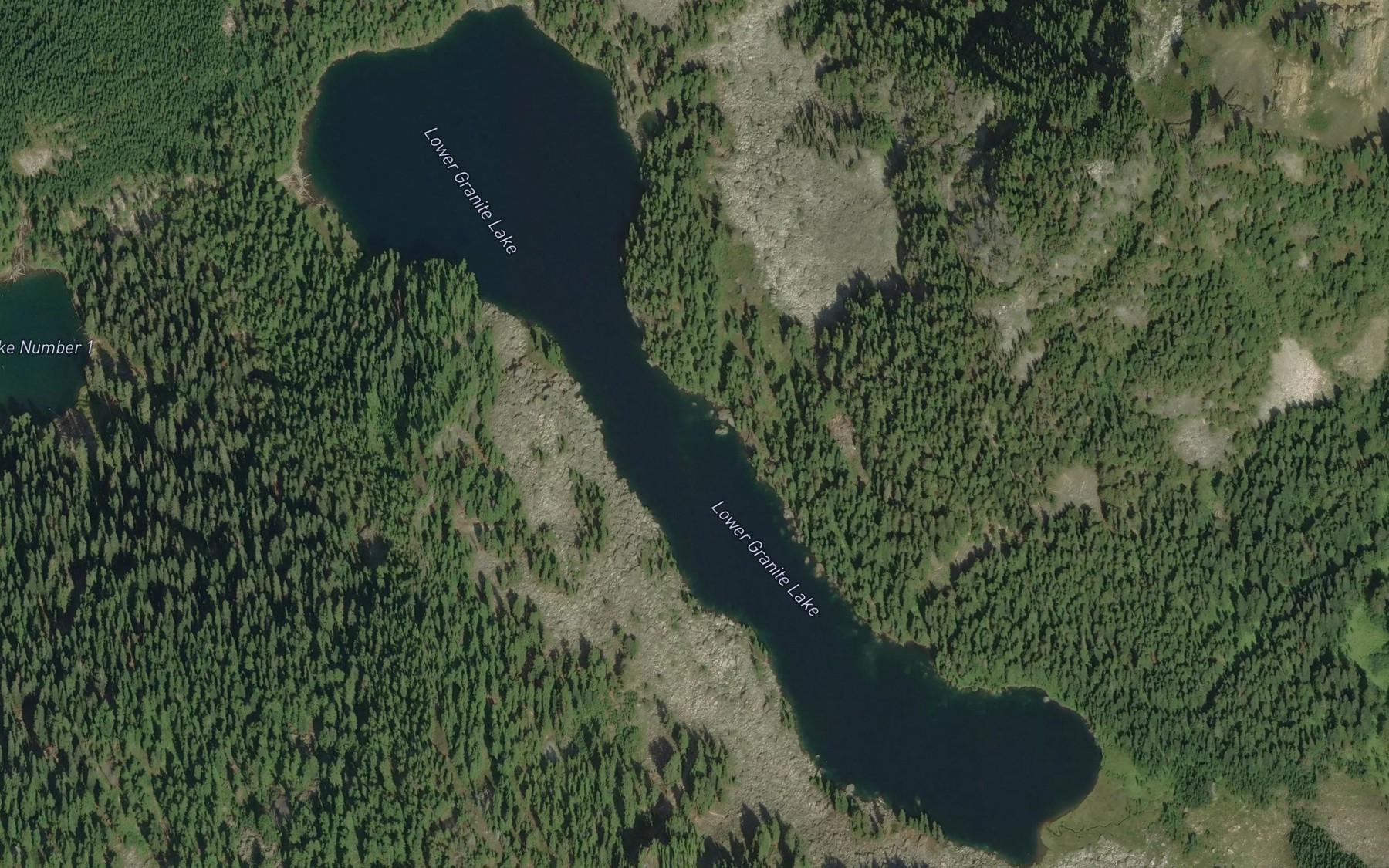 Satellite map of the Lower Granite Lake