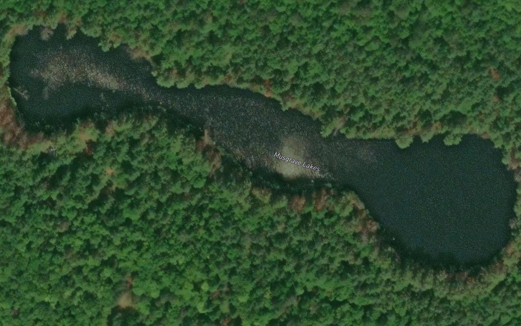 Satellite map of the Musgrave Lakes