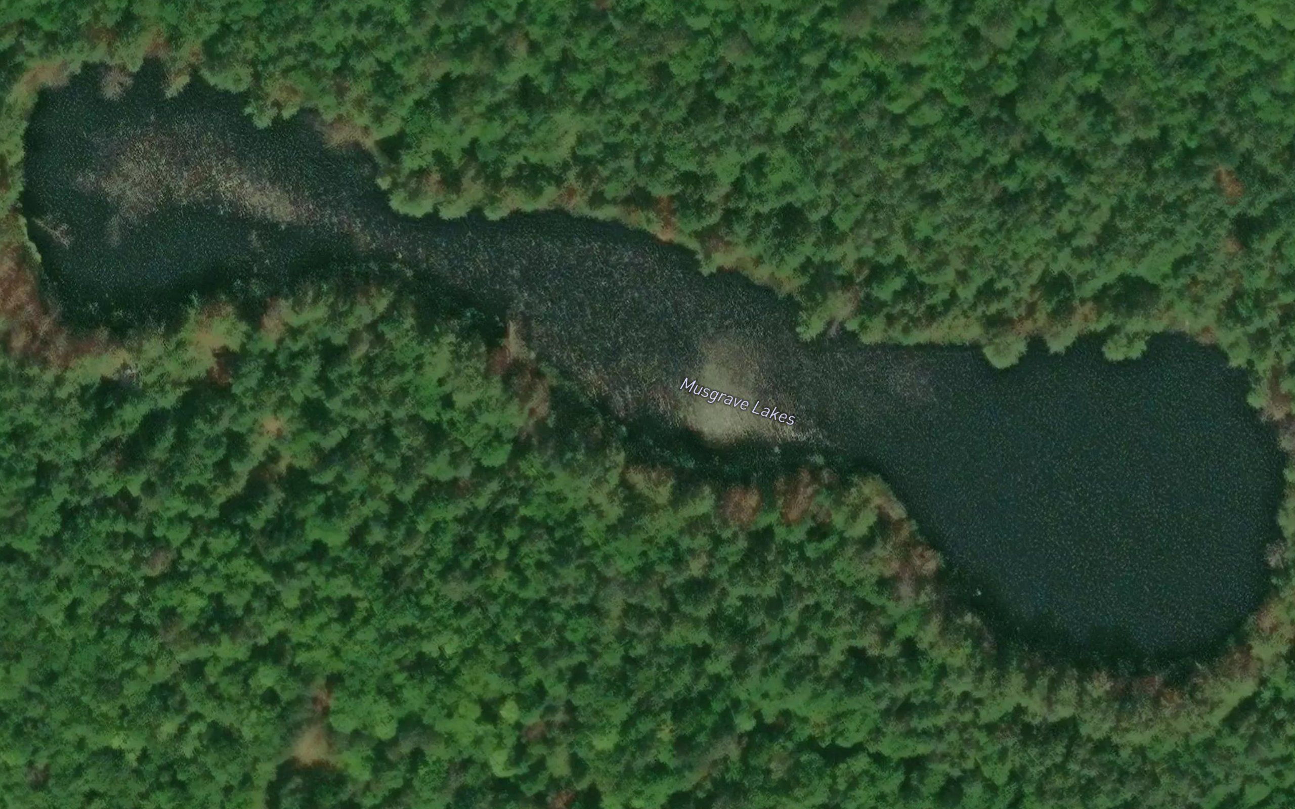 Musgrave Lakes