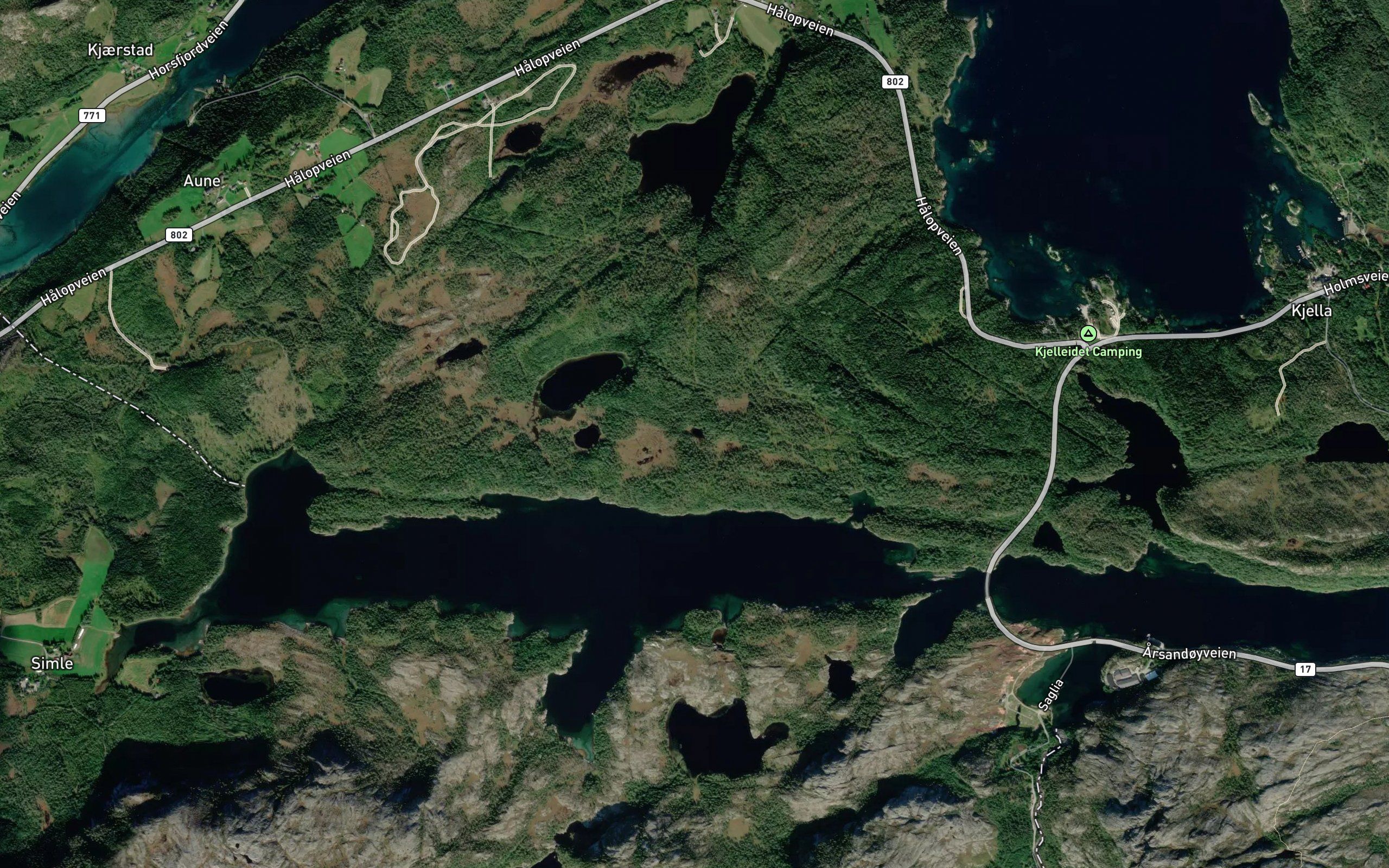 Falktjorna