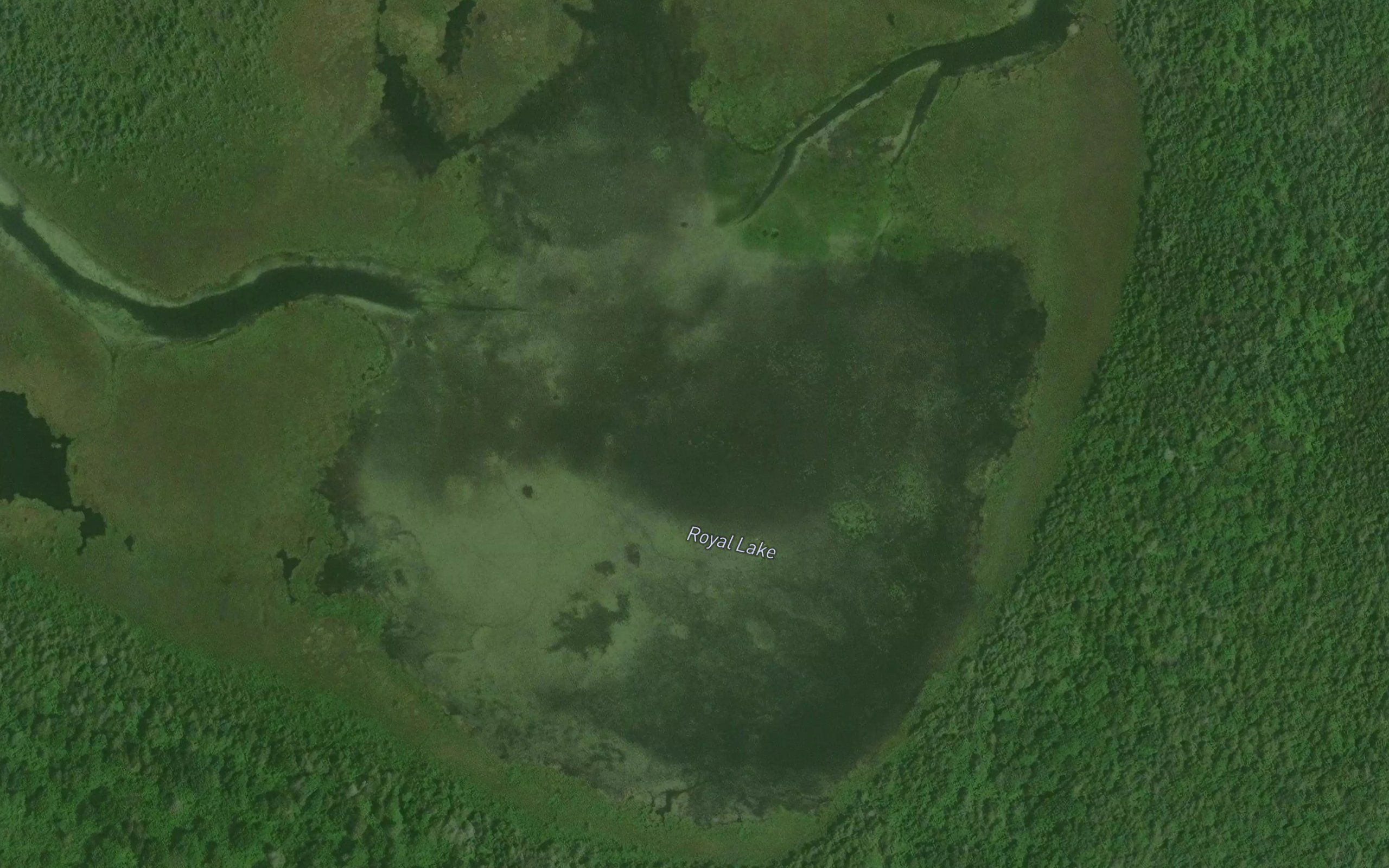 Royal Lake