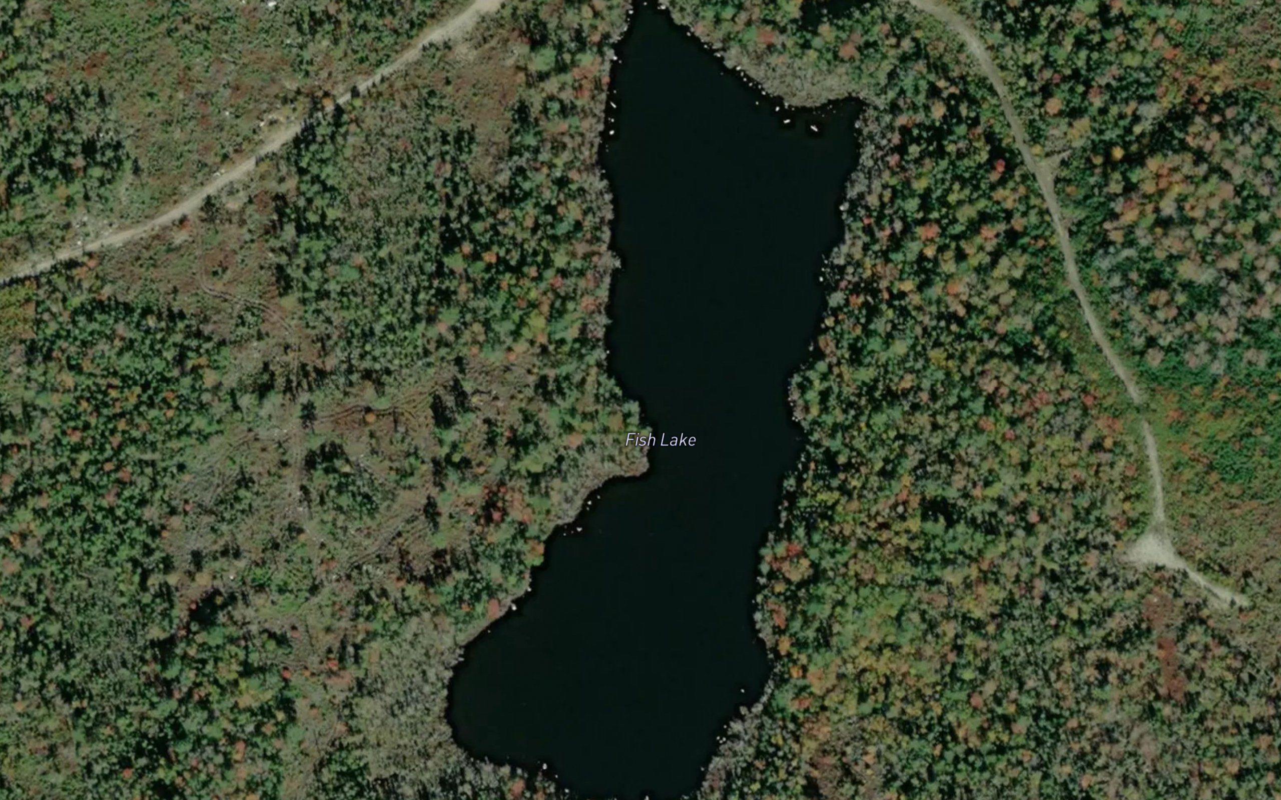 Fish Lake