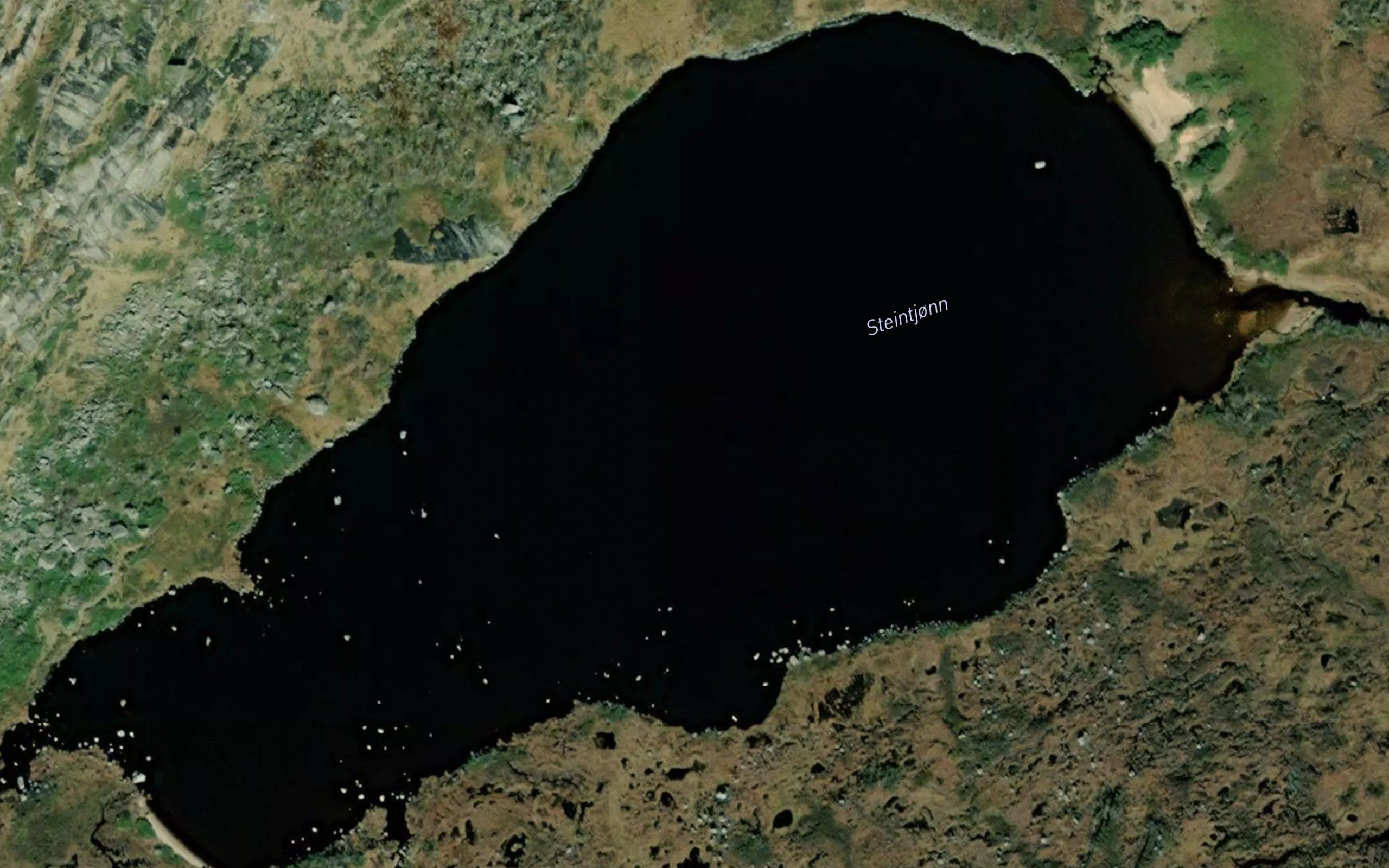 Steintjorni