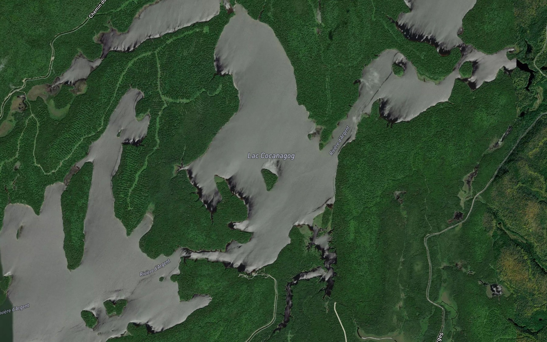 Satellite map of the Lac Cocanagog
