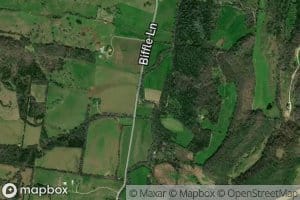 Bell Branch