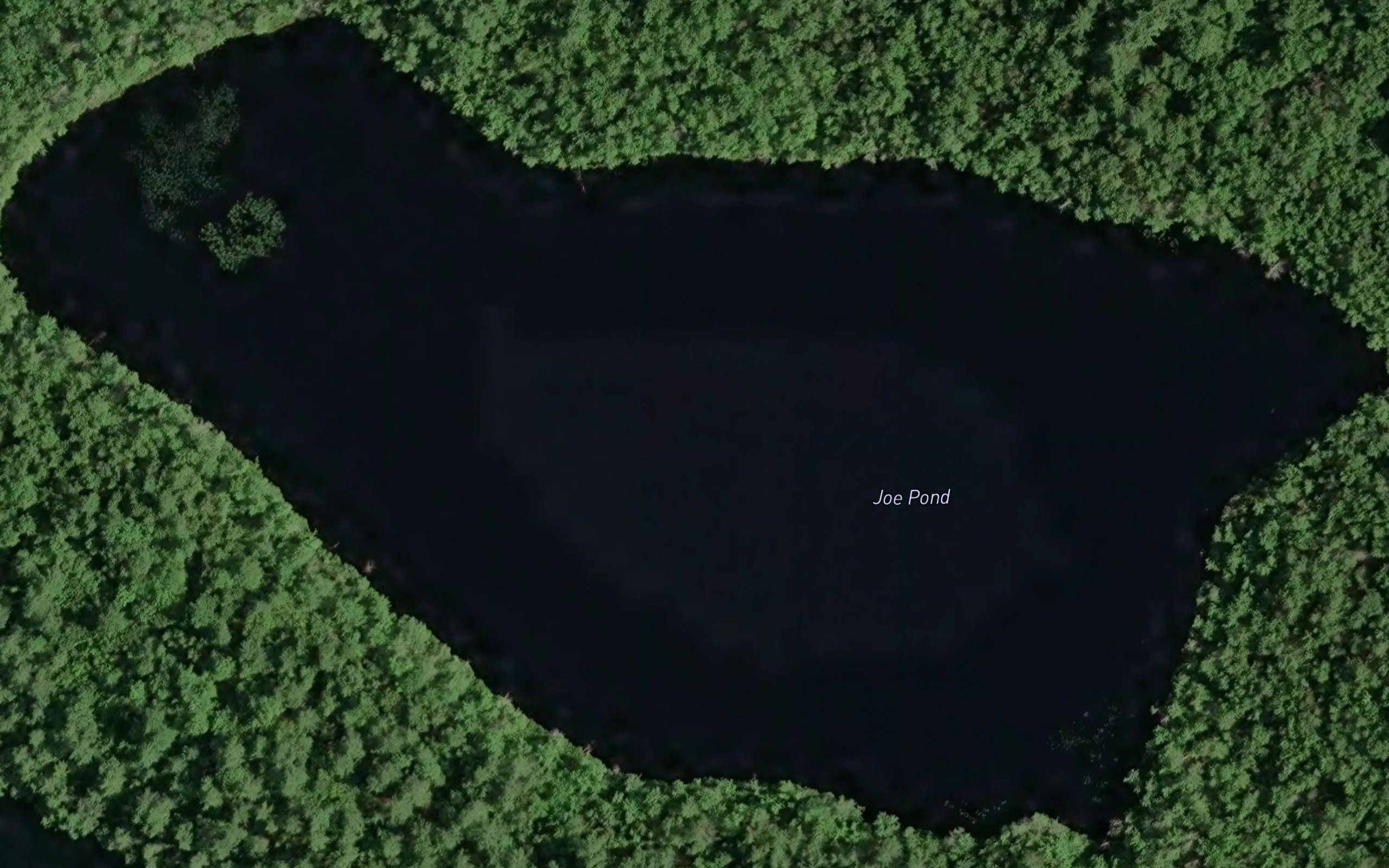 Joe Pond