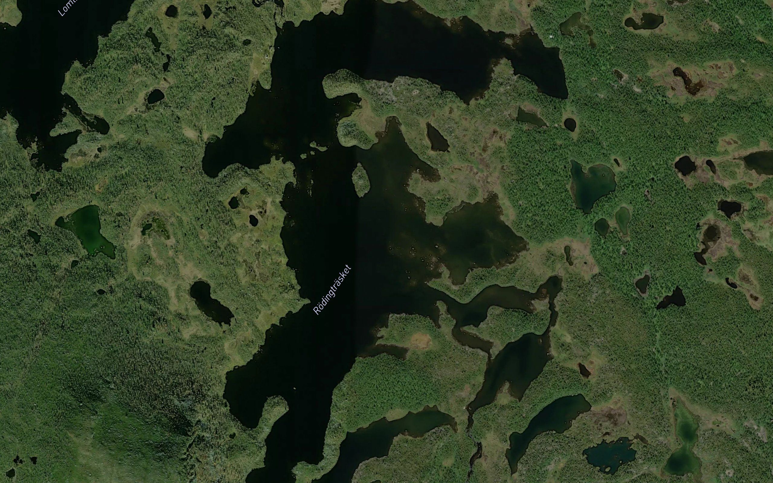 Roedingtraesket