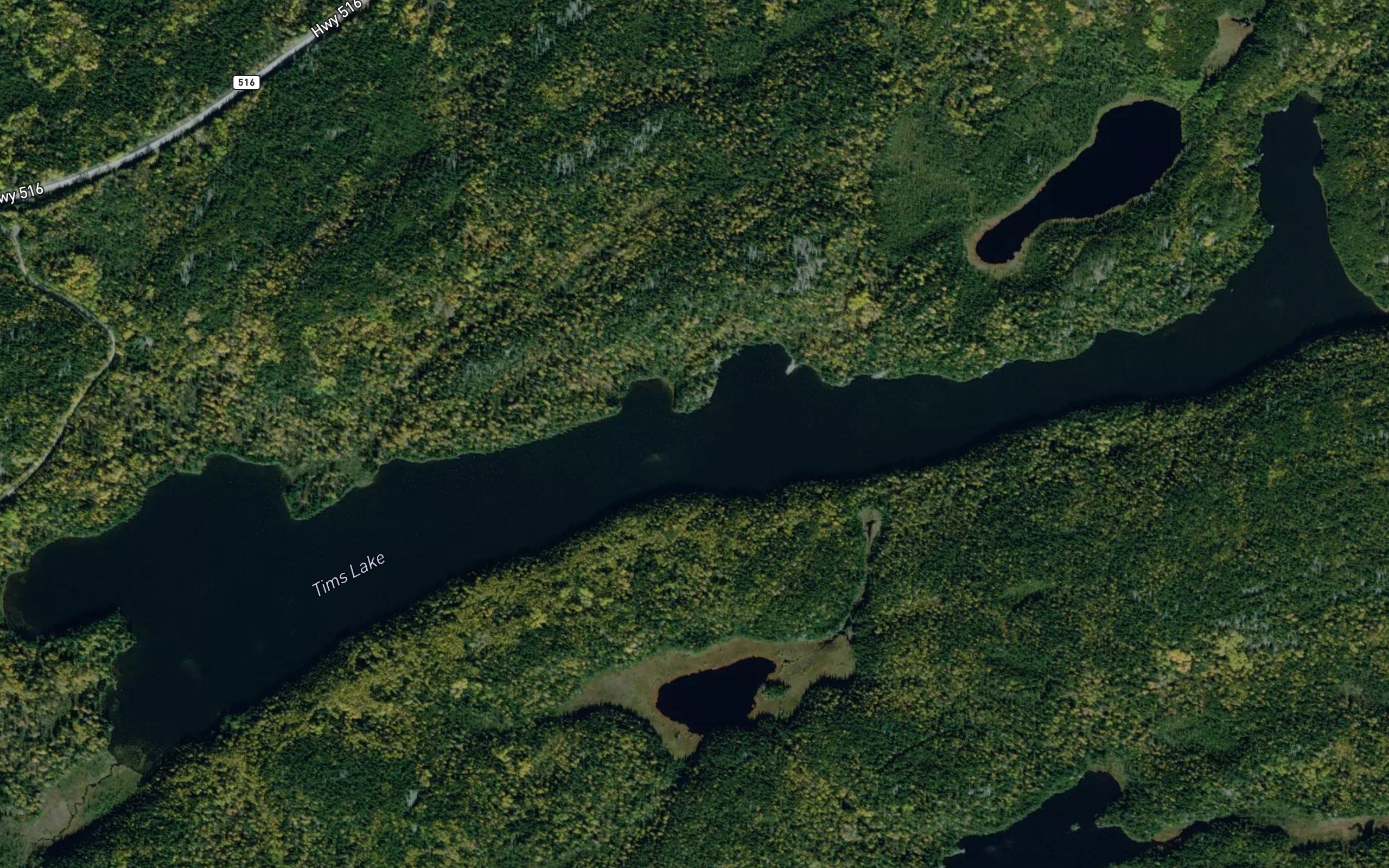 Tims Lake