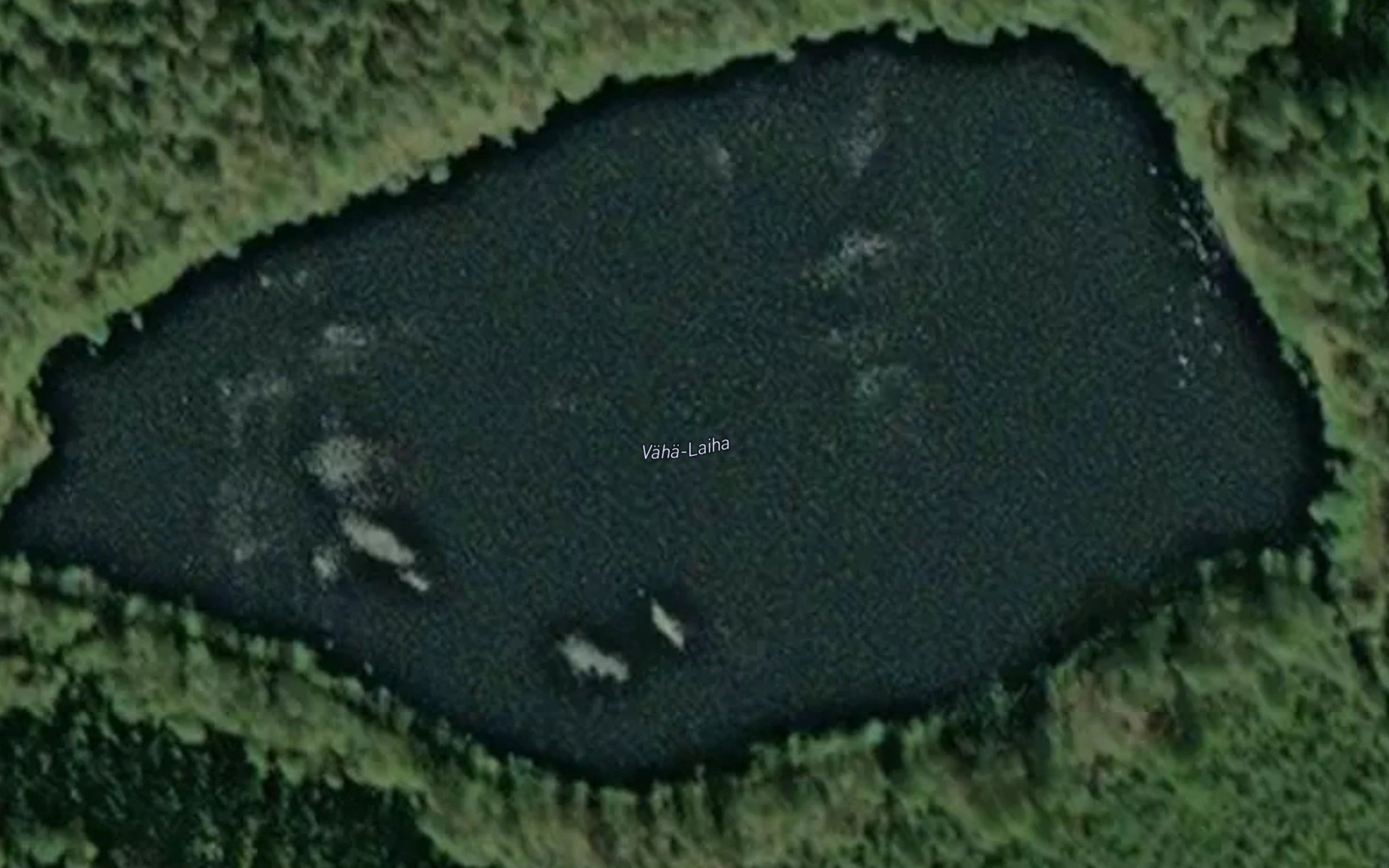 Vaha-Laiha