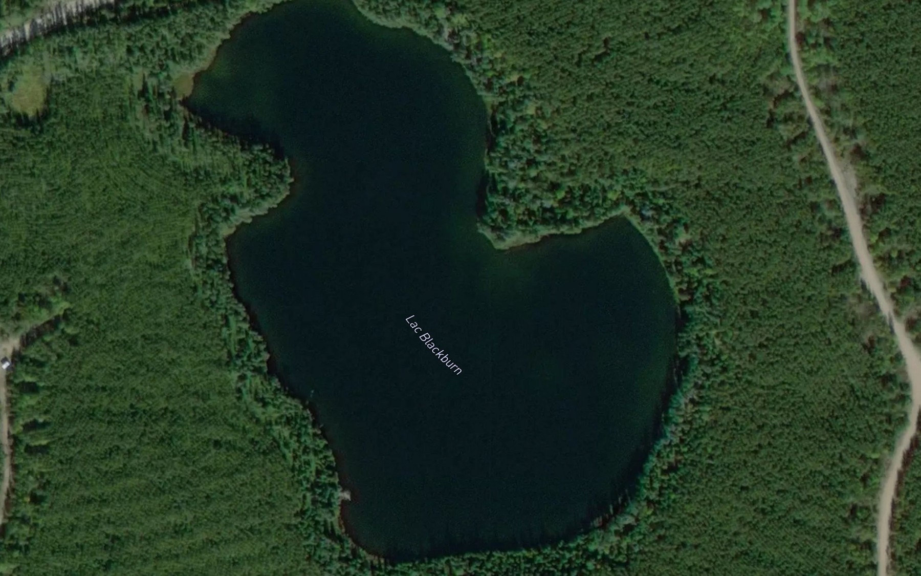 Satellite map of the Lac Blackburn