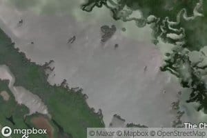 Rookery Bay