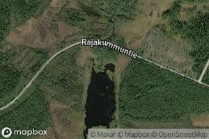 Palojoki