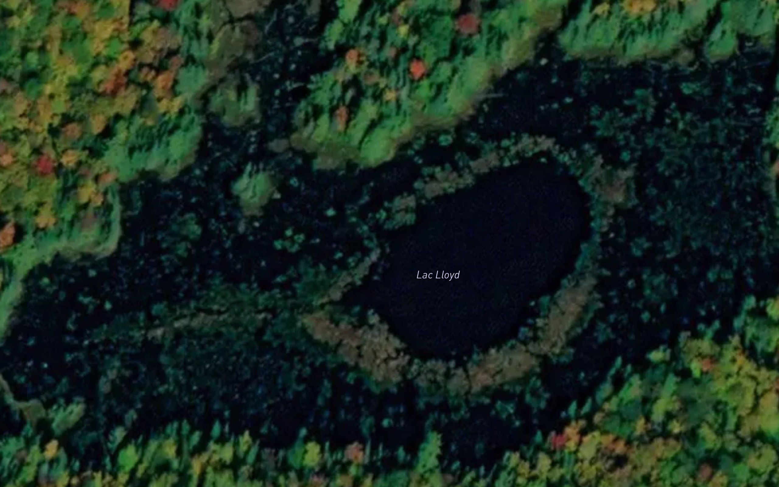 Lac Lloyd