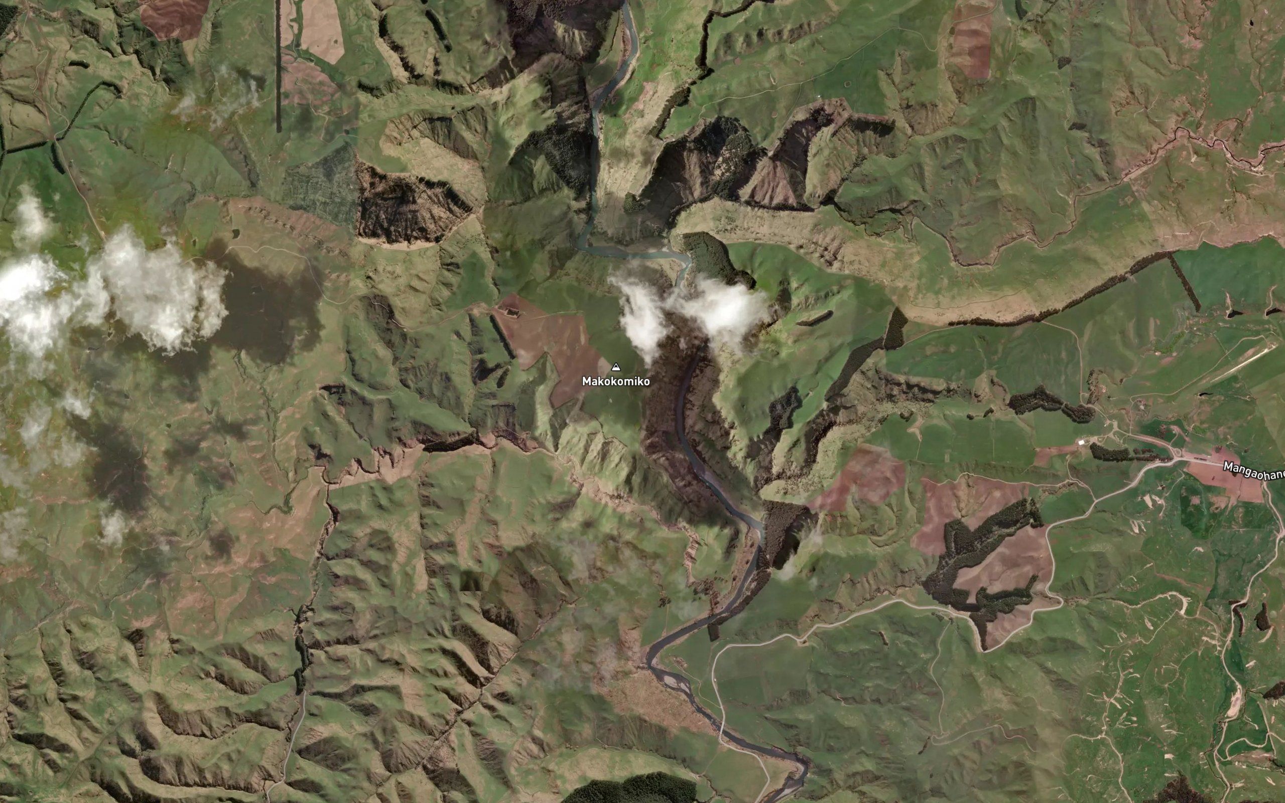 Makokomiko East Stream