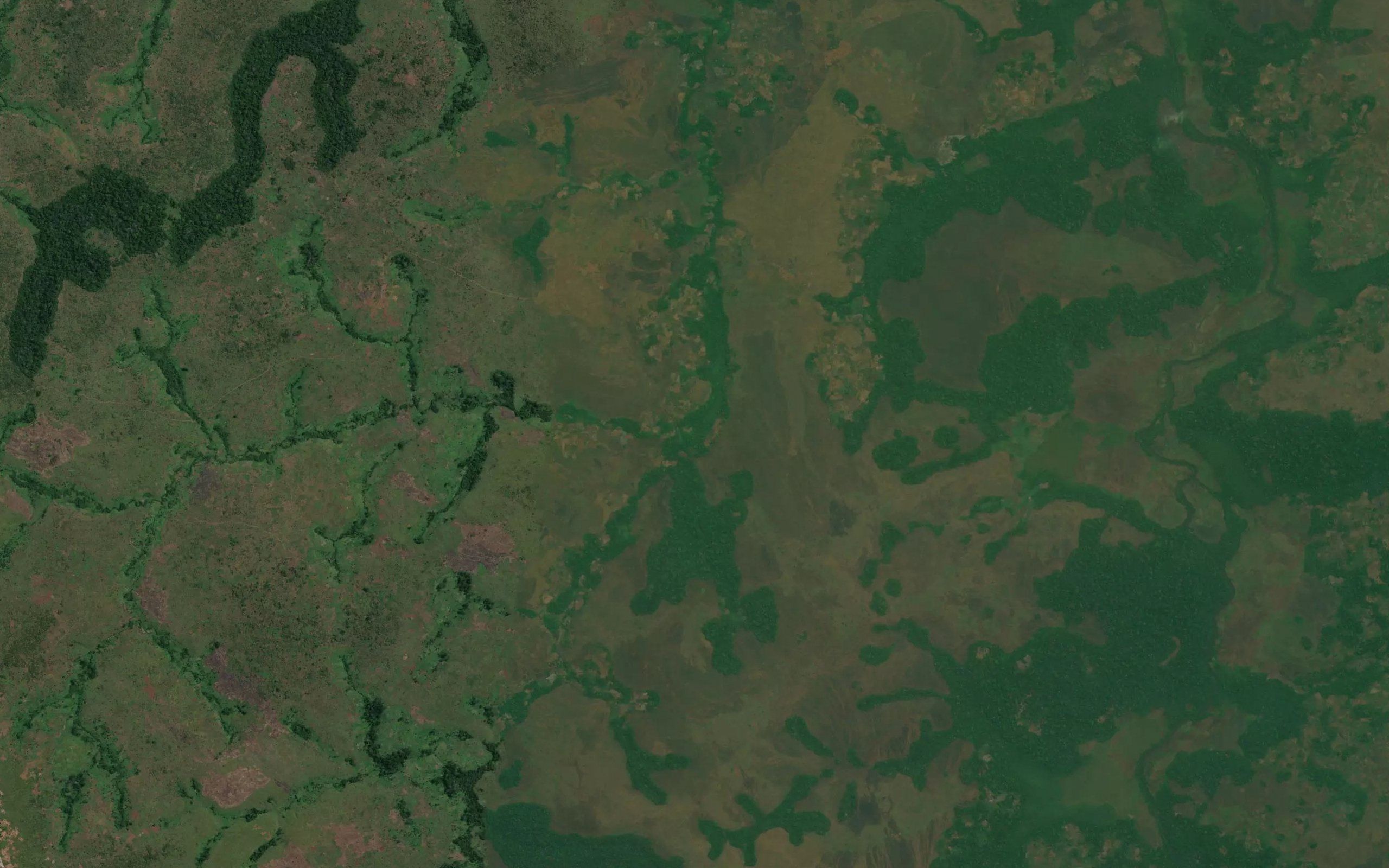 Mwansonga