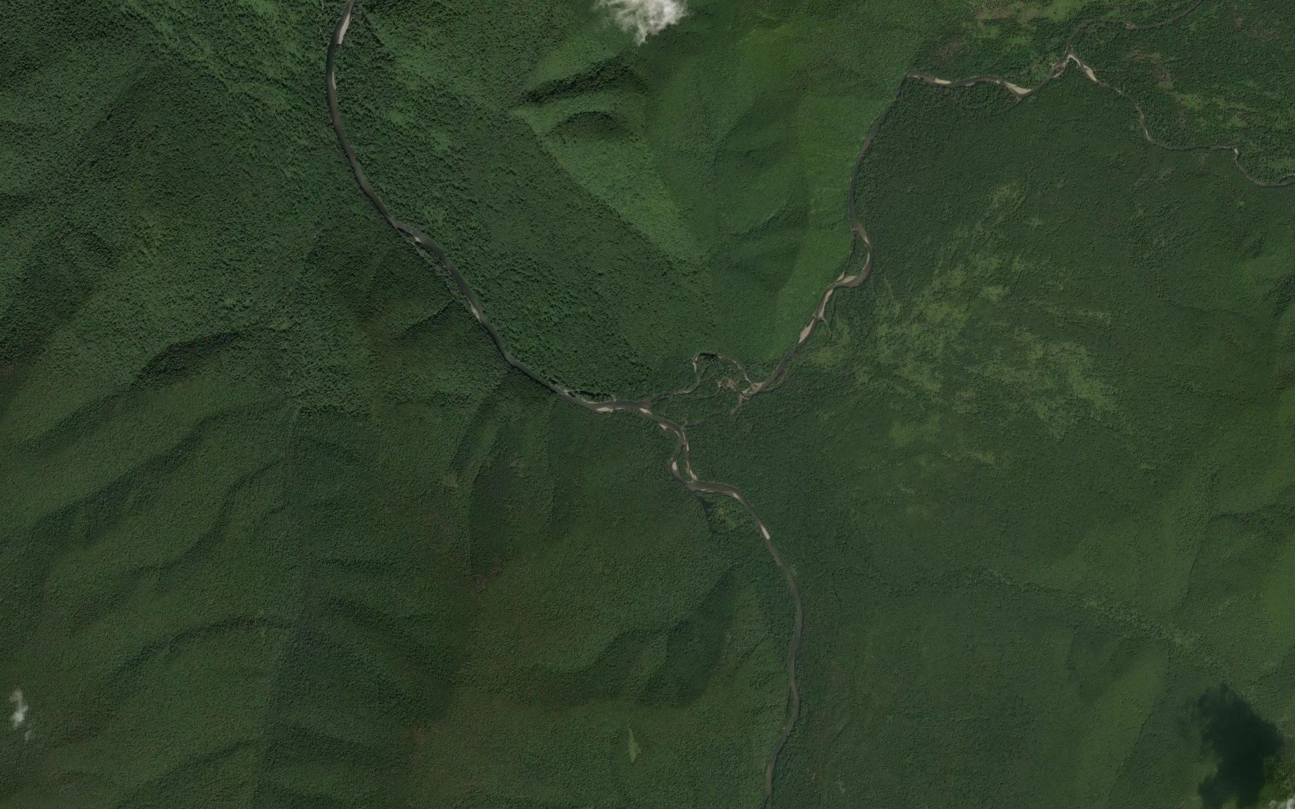 Dzava