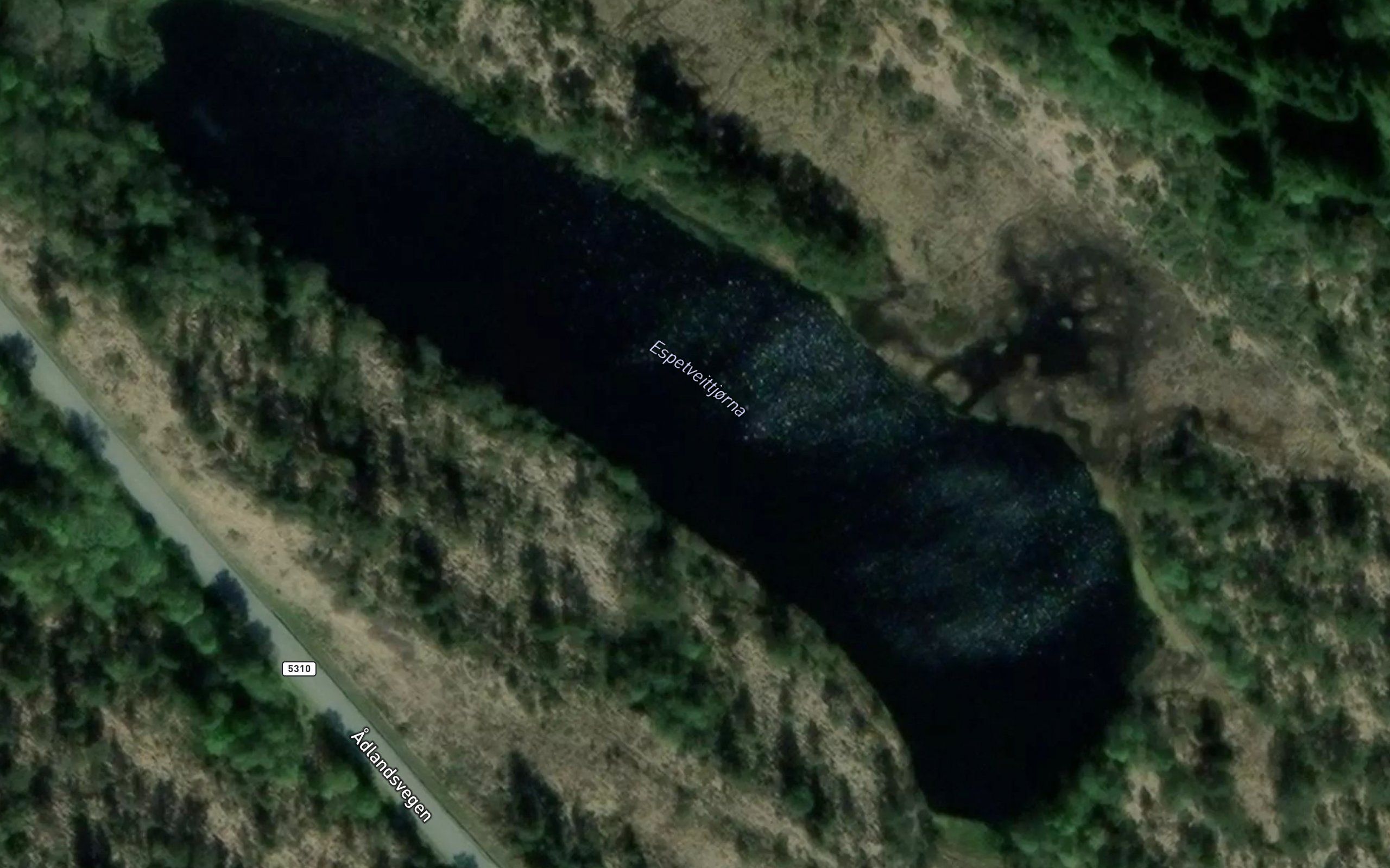 Espetveittjorna
