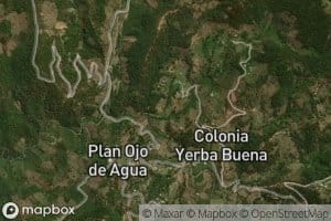 Palo de Mecha
