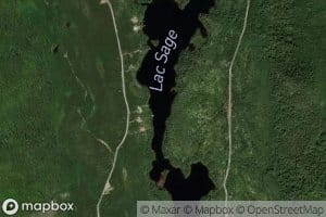 Lac Sage