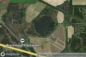 Simms Pond