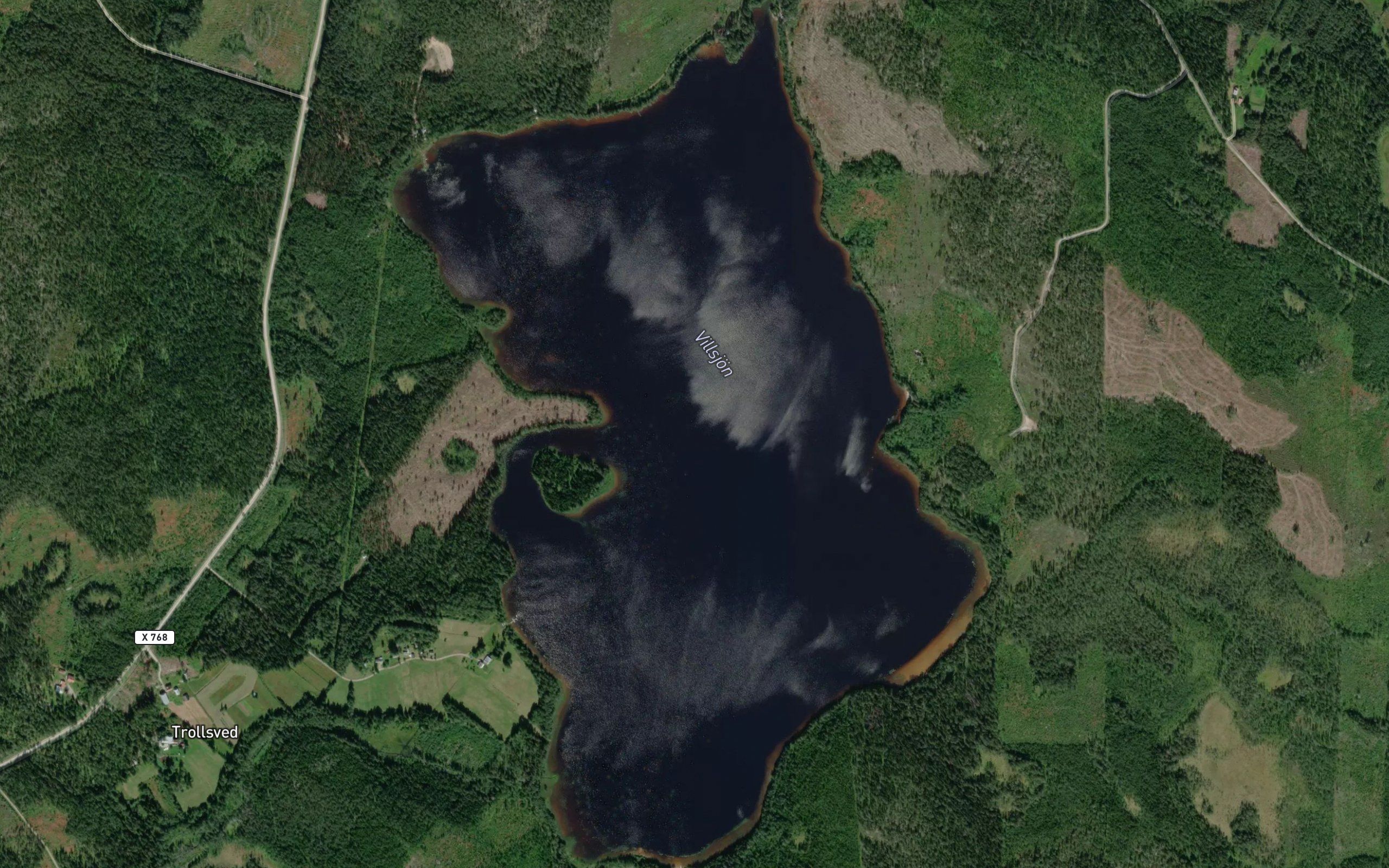 Vildsjon