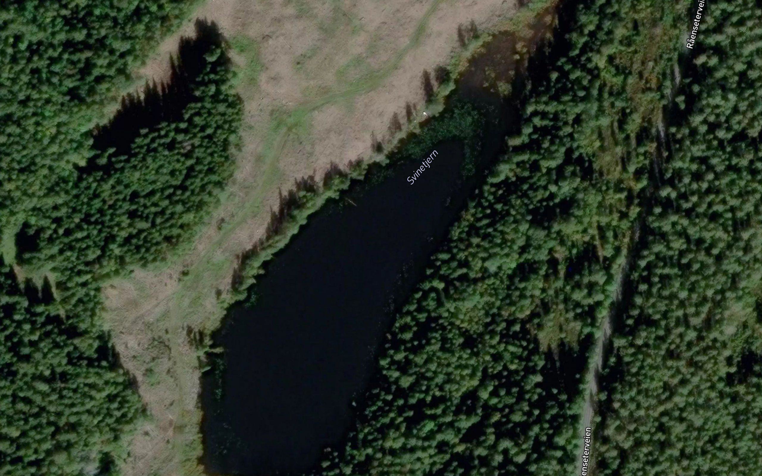 Svintjern
