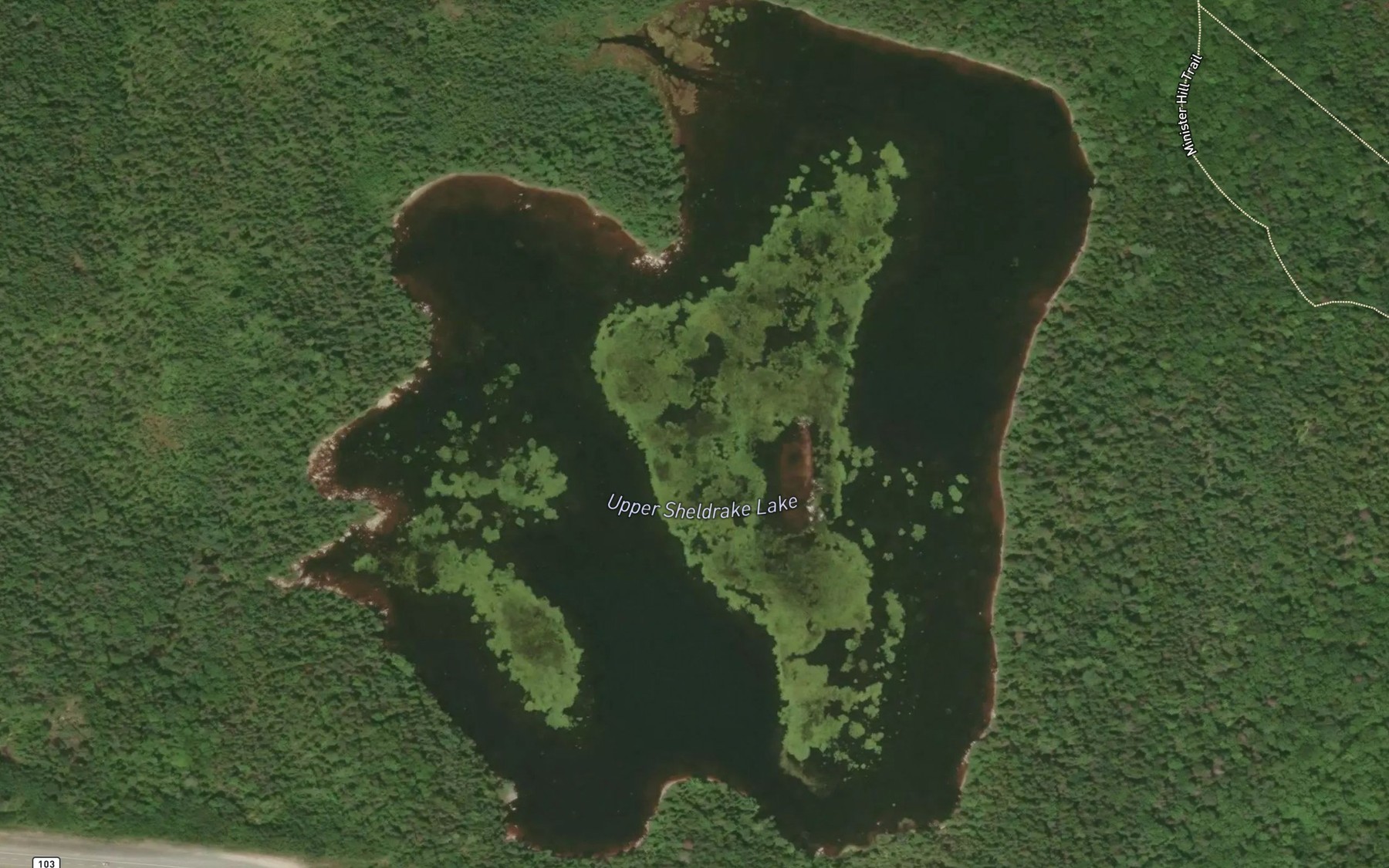 Satellite map of the Upper Sheldrake Lake