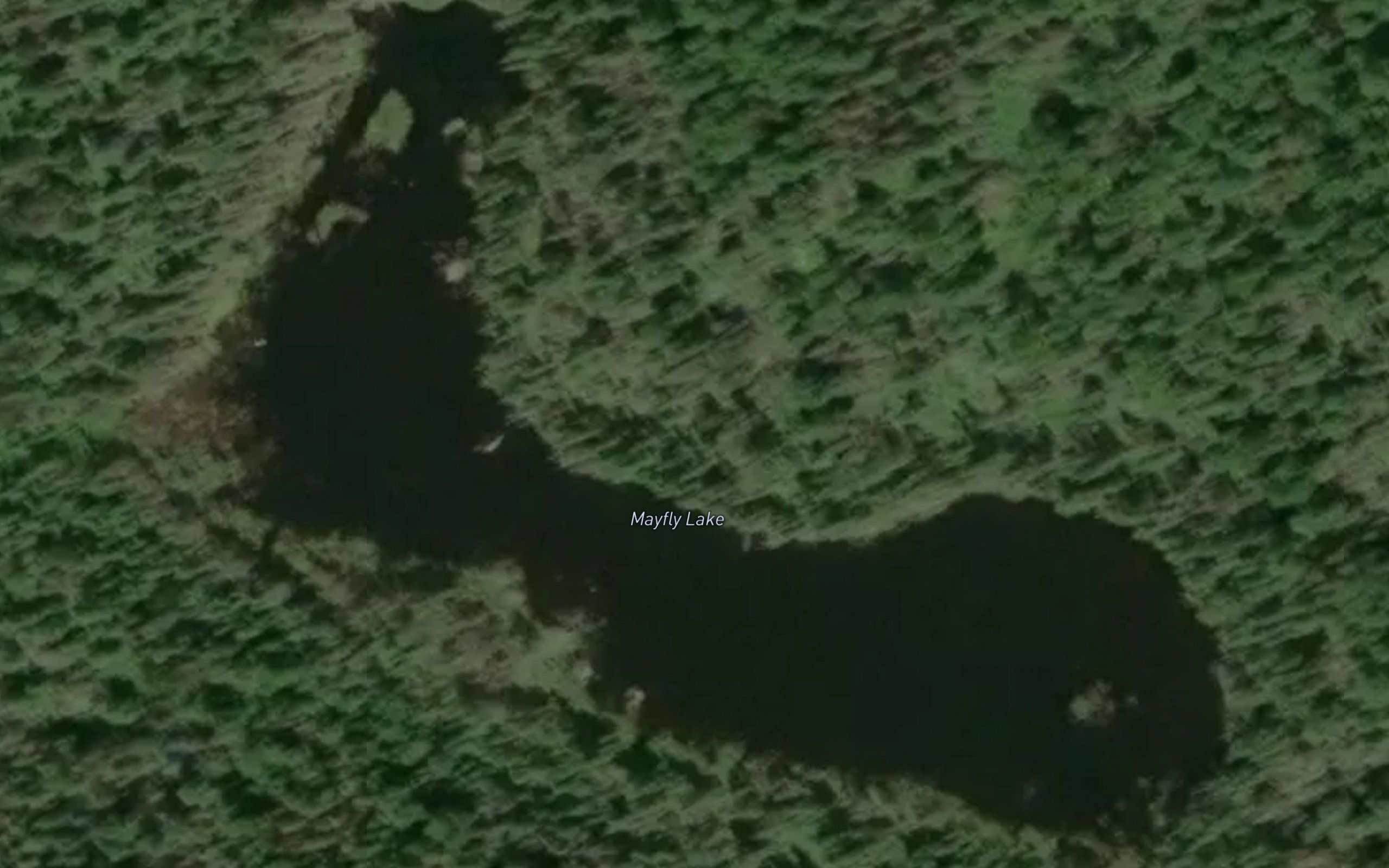 Mayfly Lake