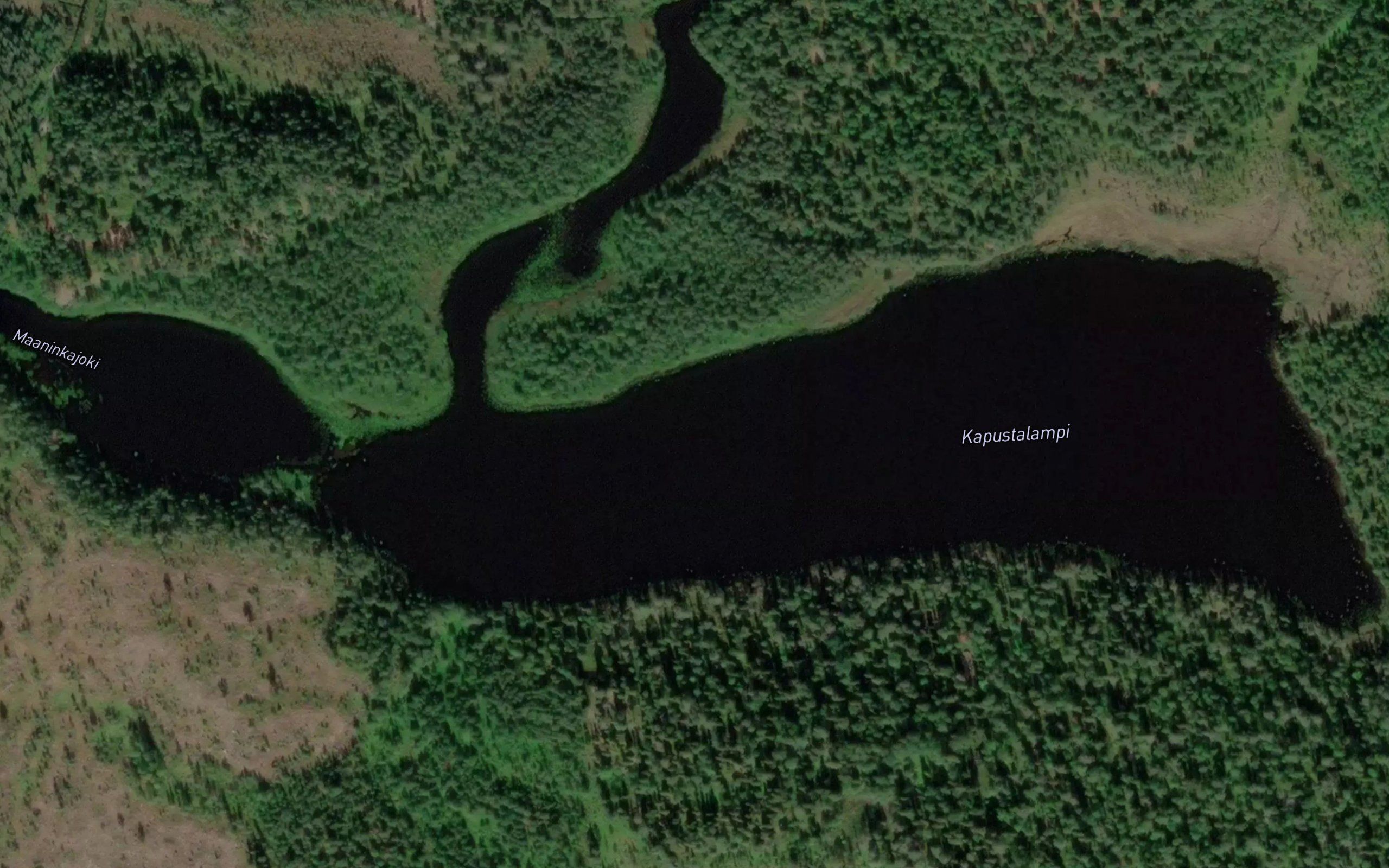 Kapustalampi