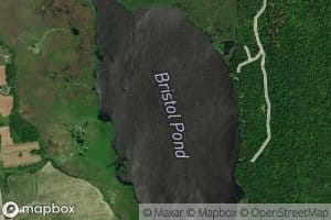 Bristol Pond