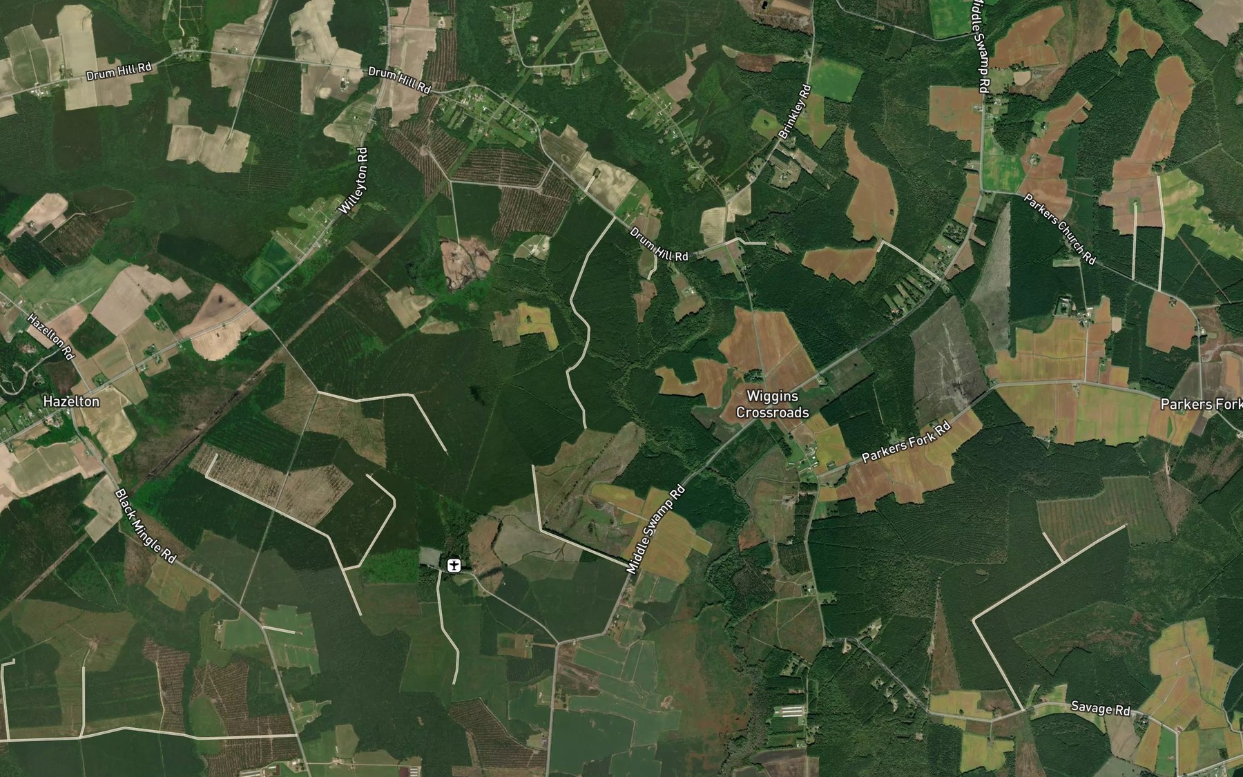Satellite map of the Goodman Swamp
