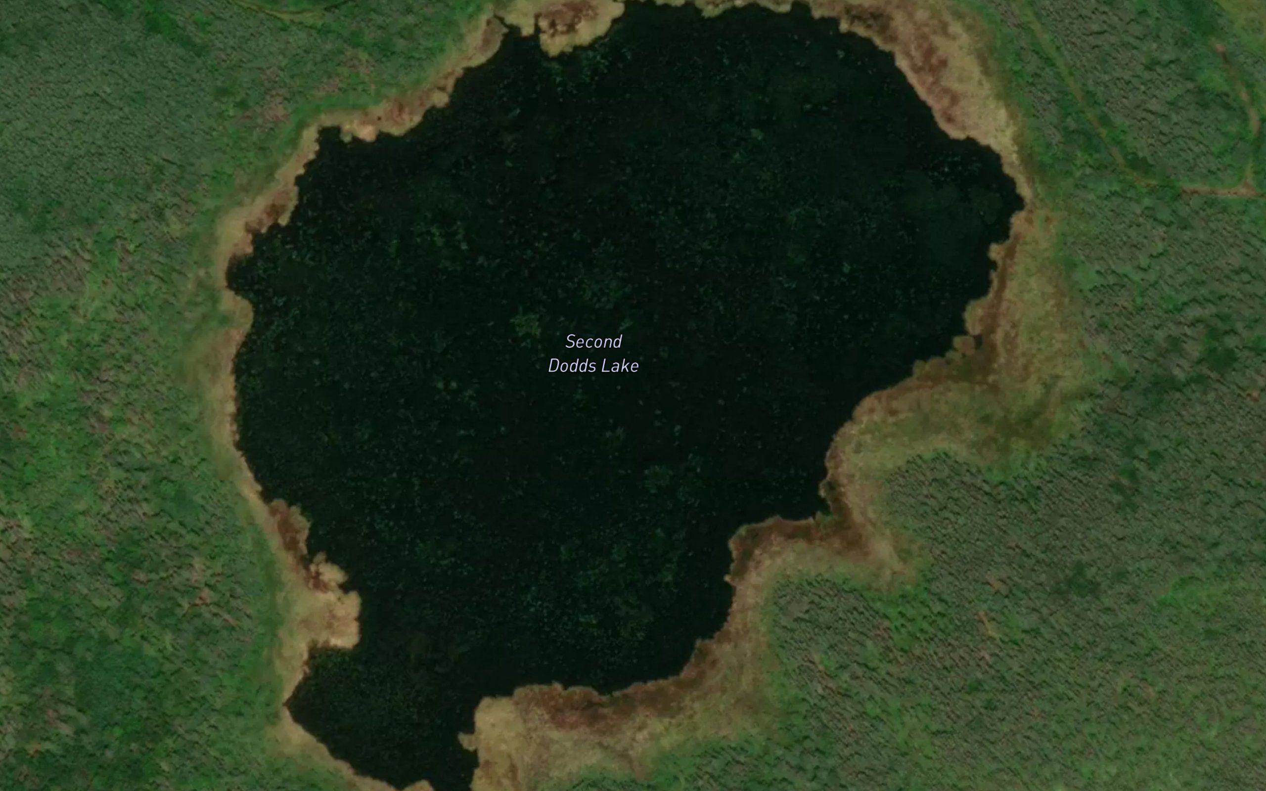 Second Dodds Lake