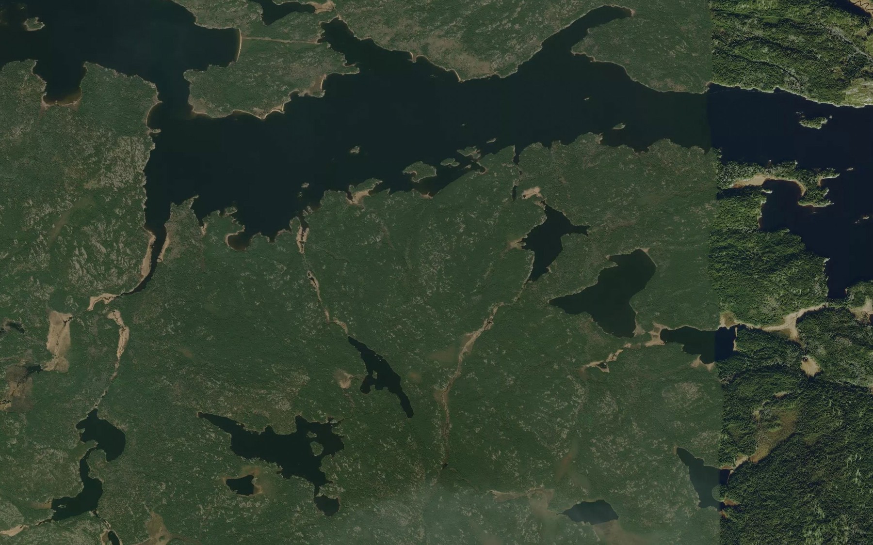 Satellite map of the Deer Lake
