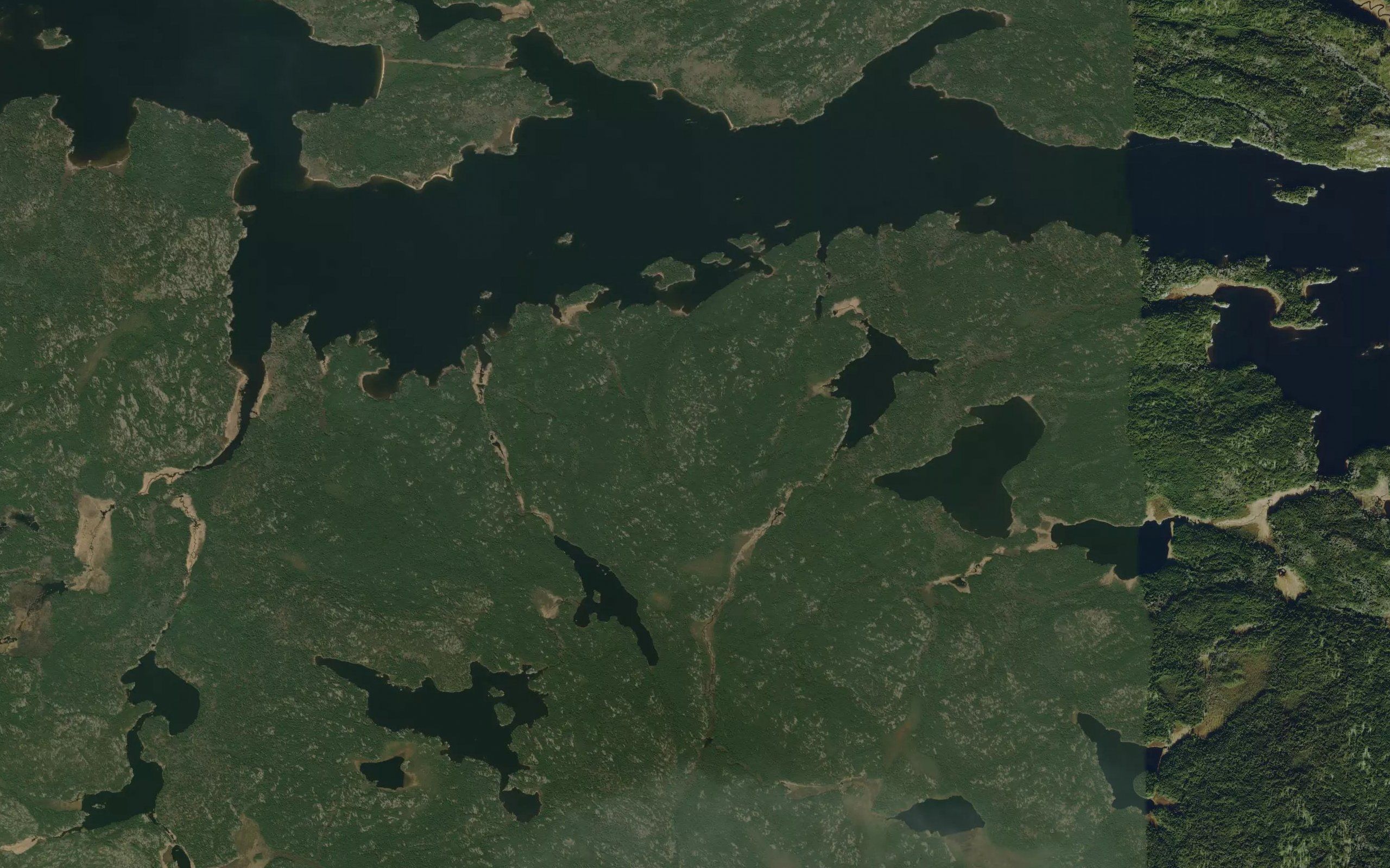 Deer Lake
