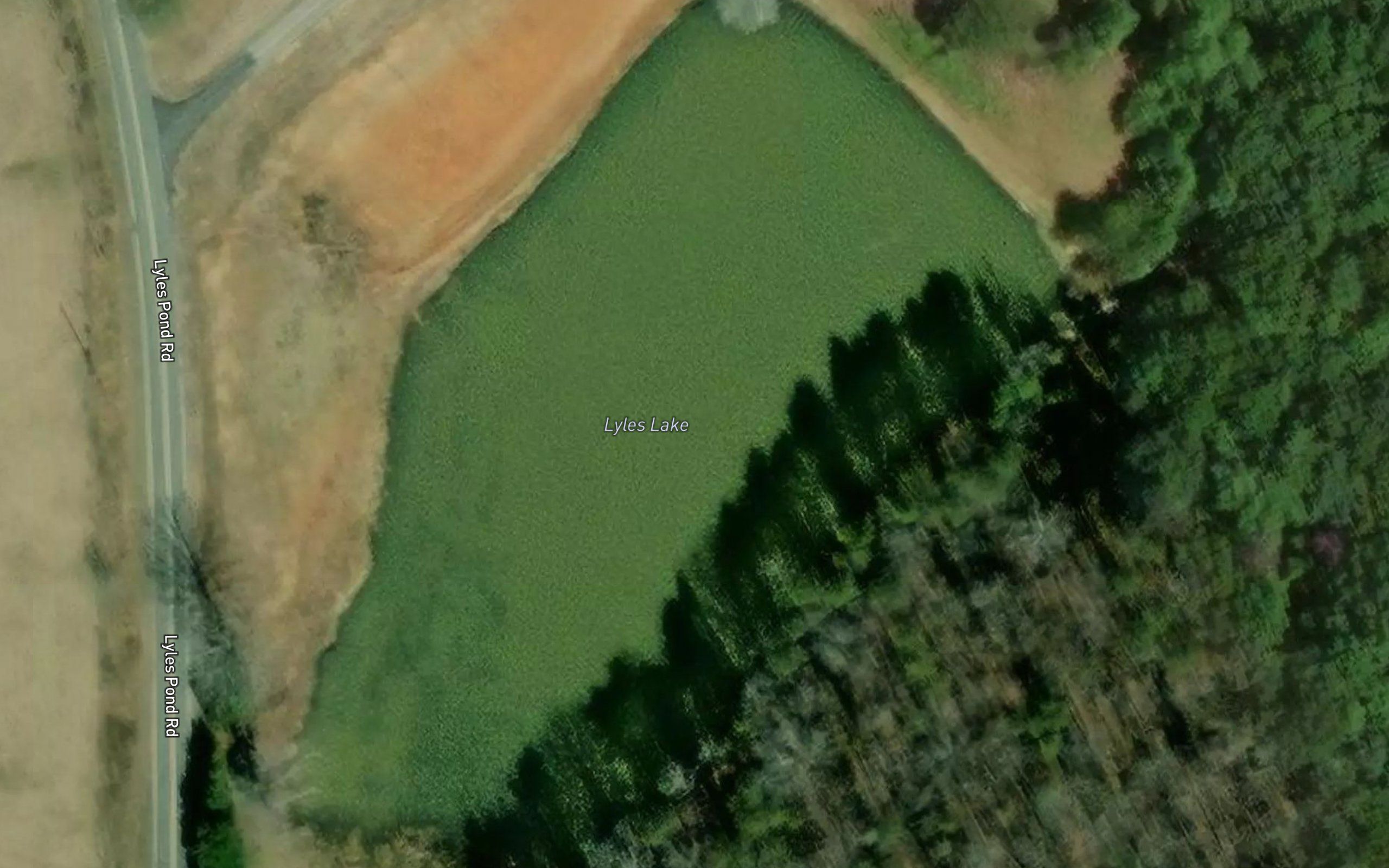 Lyles Lake