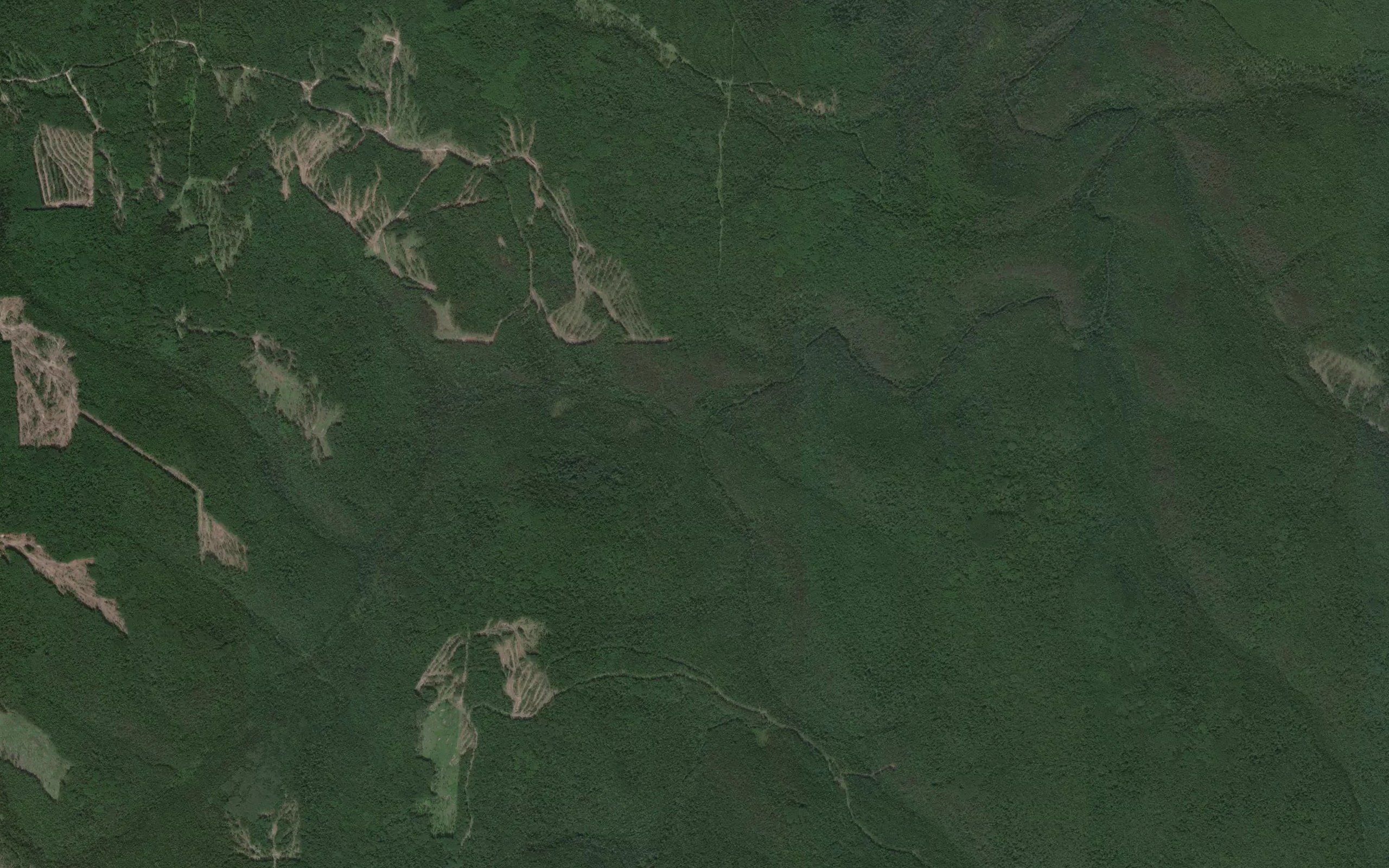 Polyakovskiy
