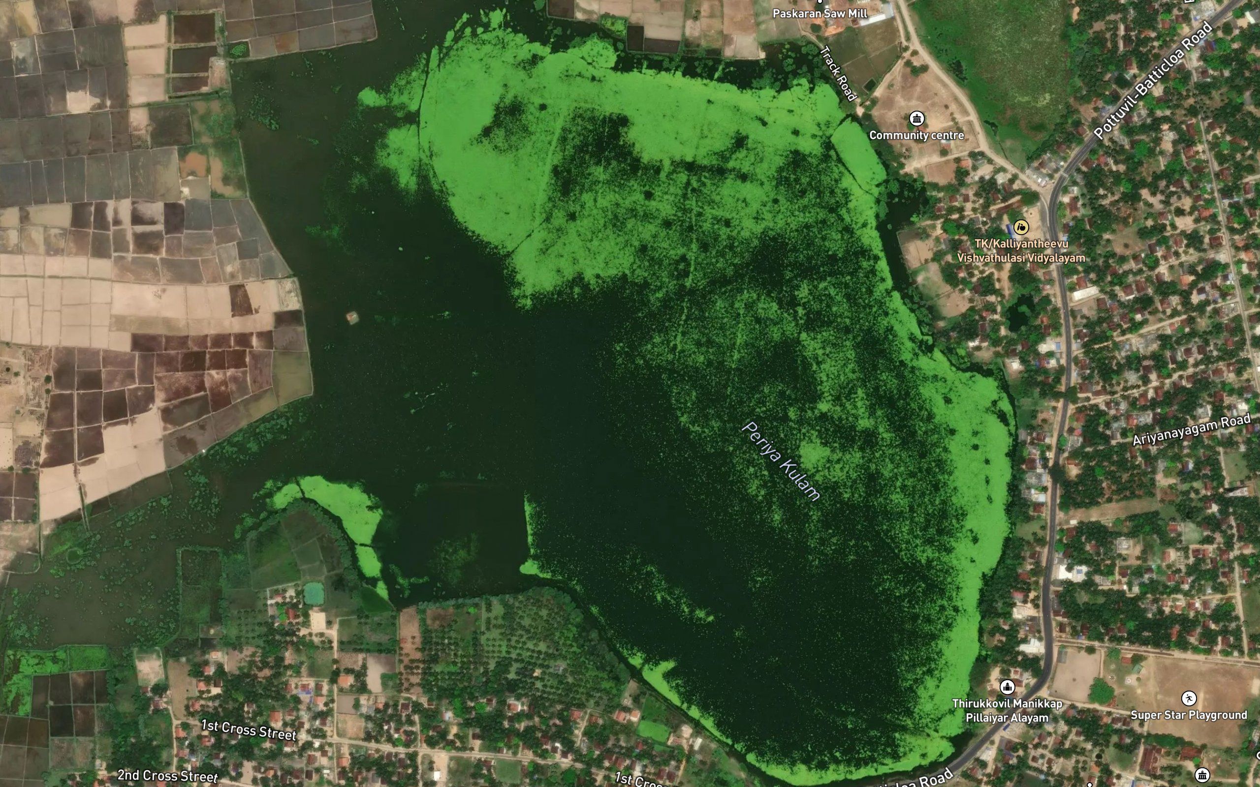 Periya Kulam