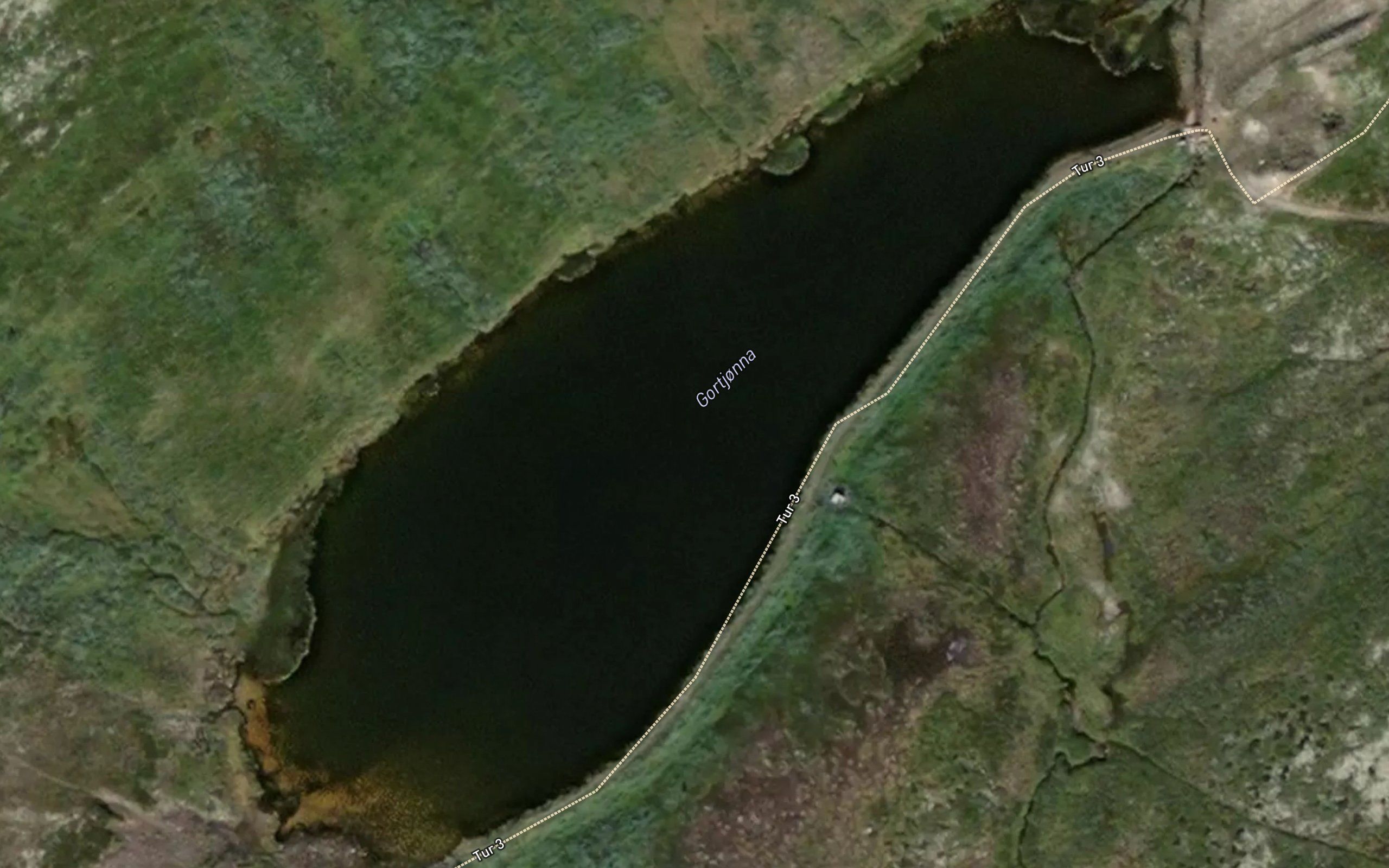 Gortjorni