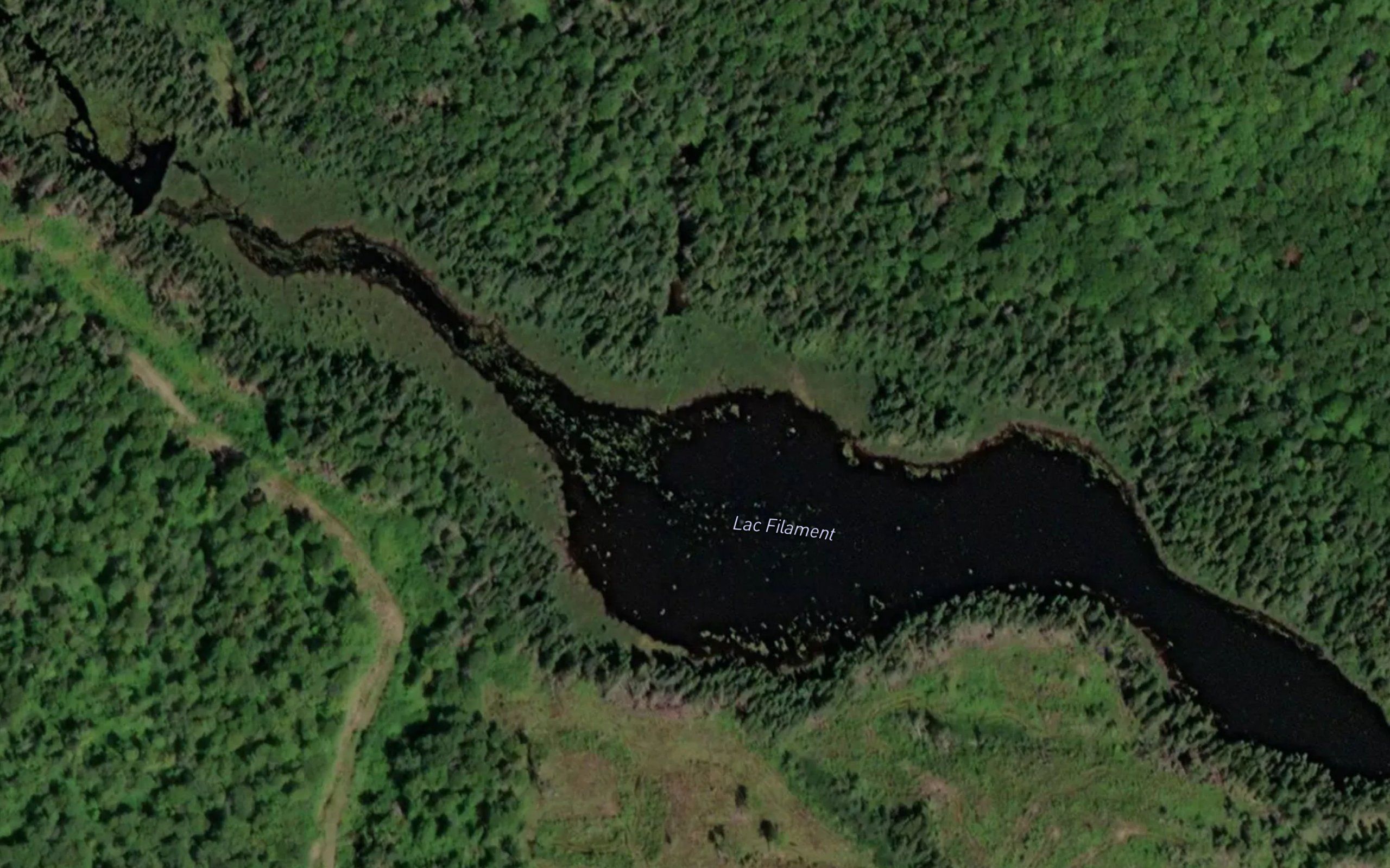Lac Filament