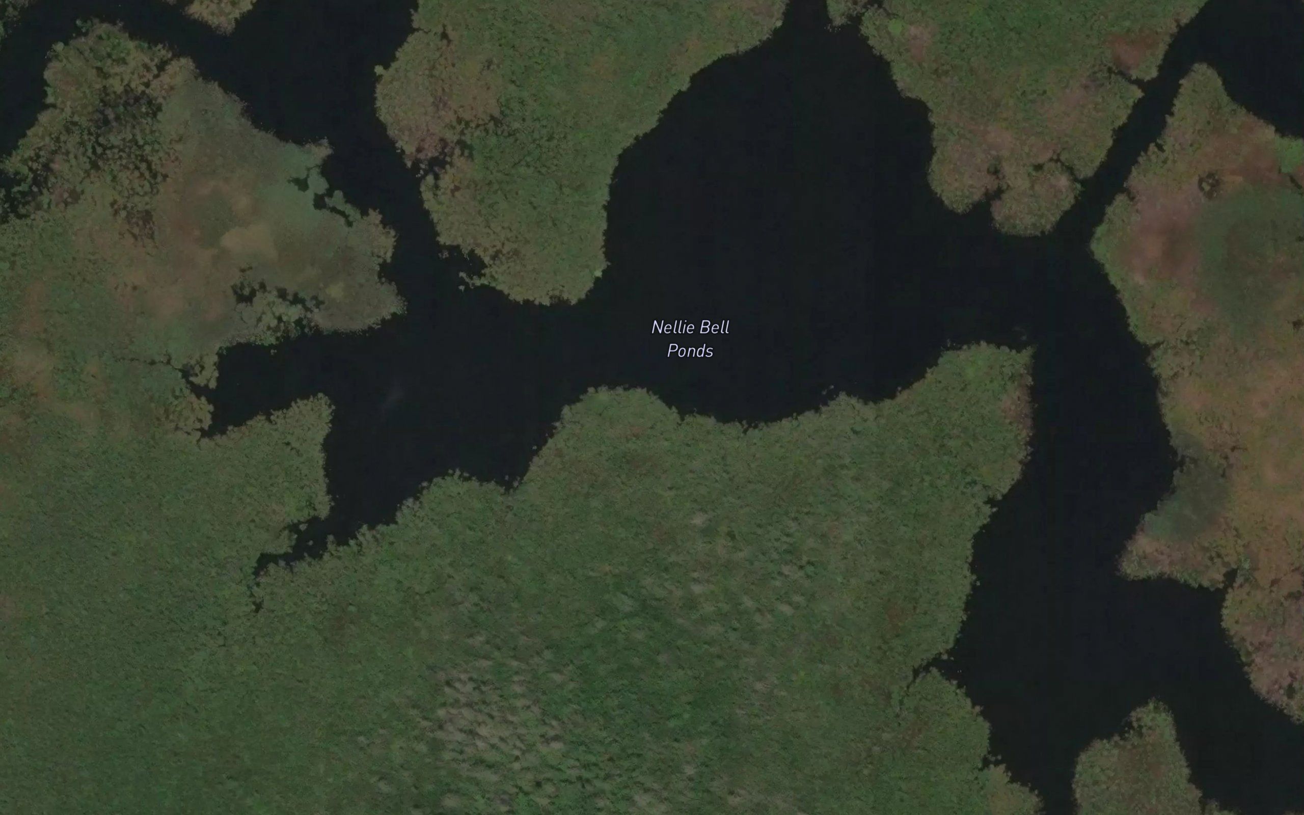 Nellie Bell Ponds