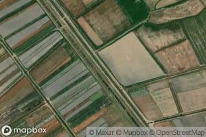 Ikinci Kuryani Kollektoru