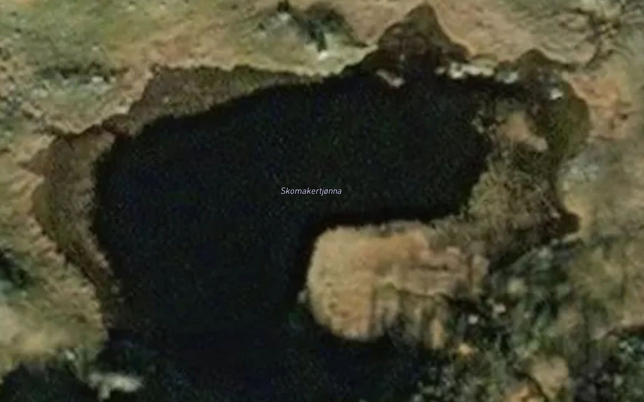 Skomakertjonna