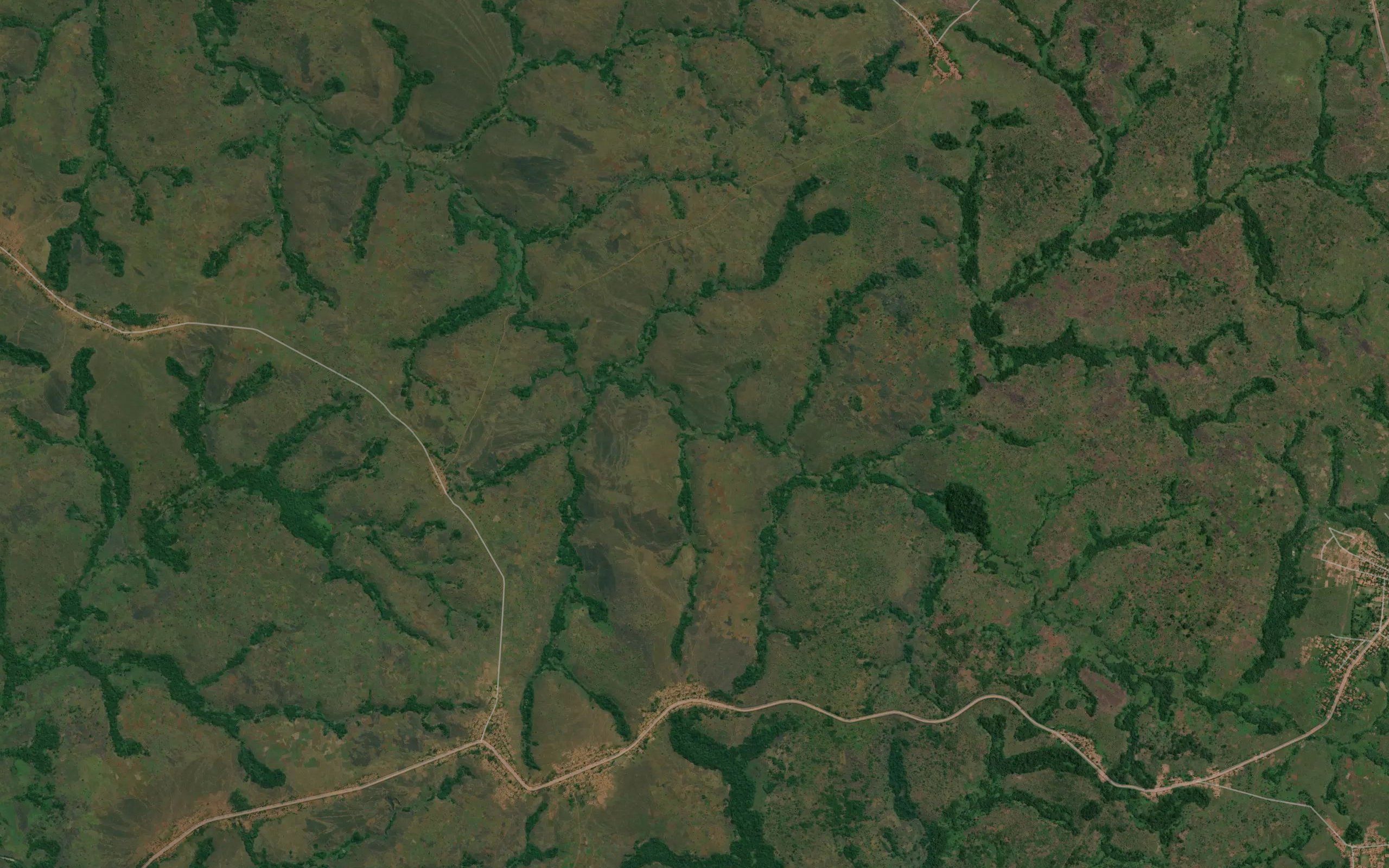 Tshisavu