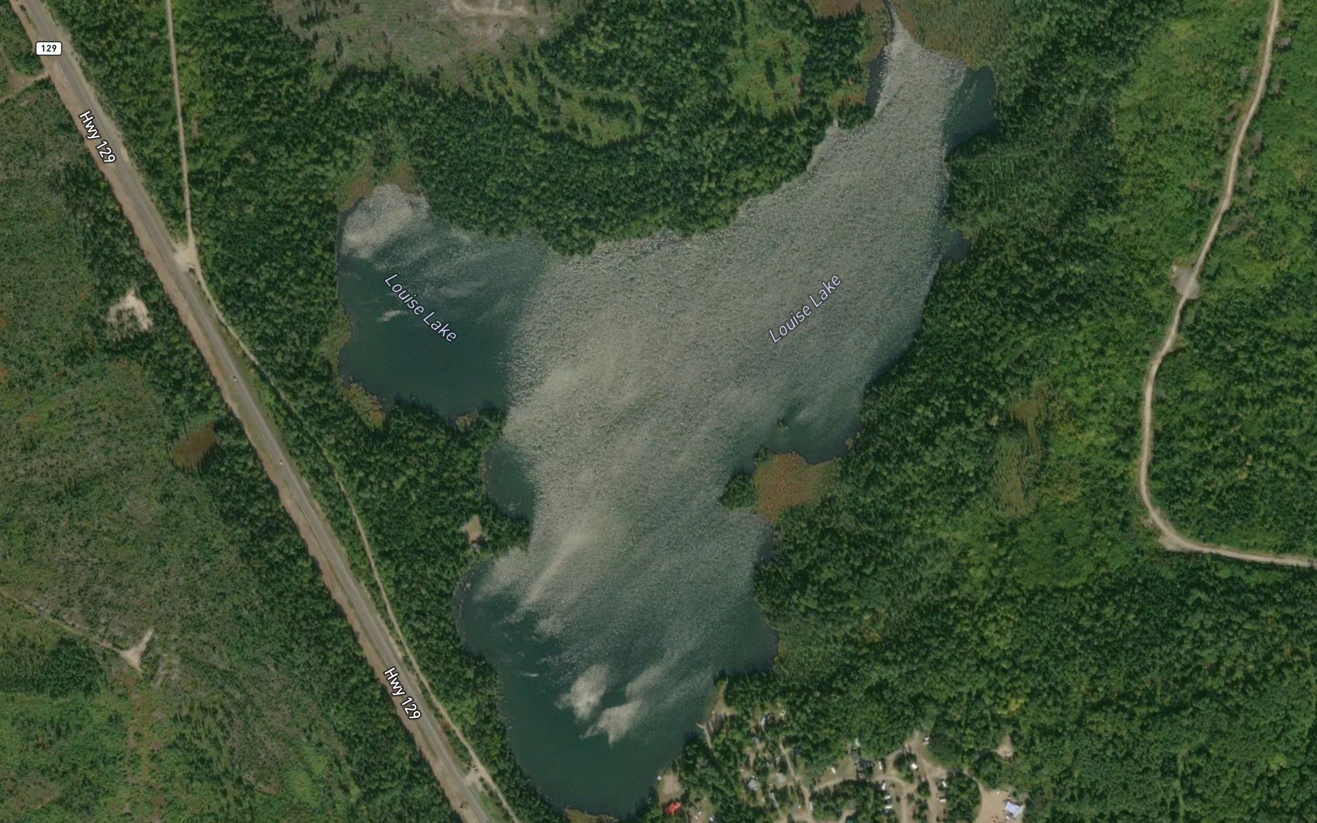 Louise Lake
