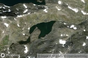 Sekketjorni