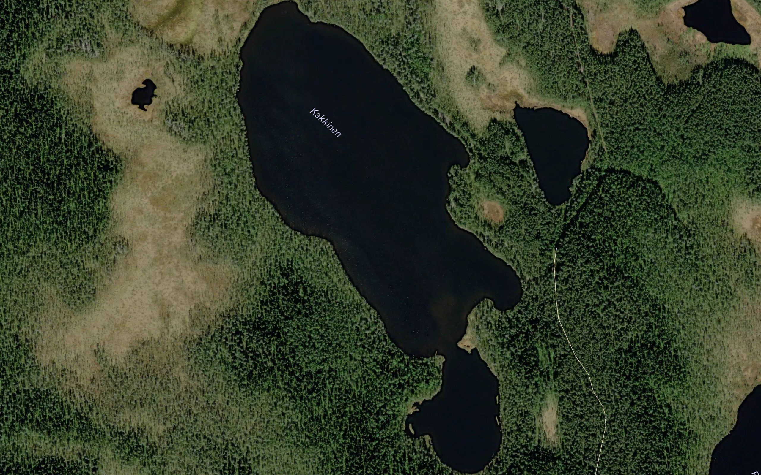 Kakkinen