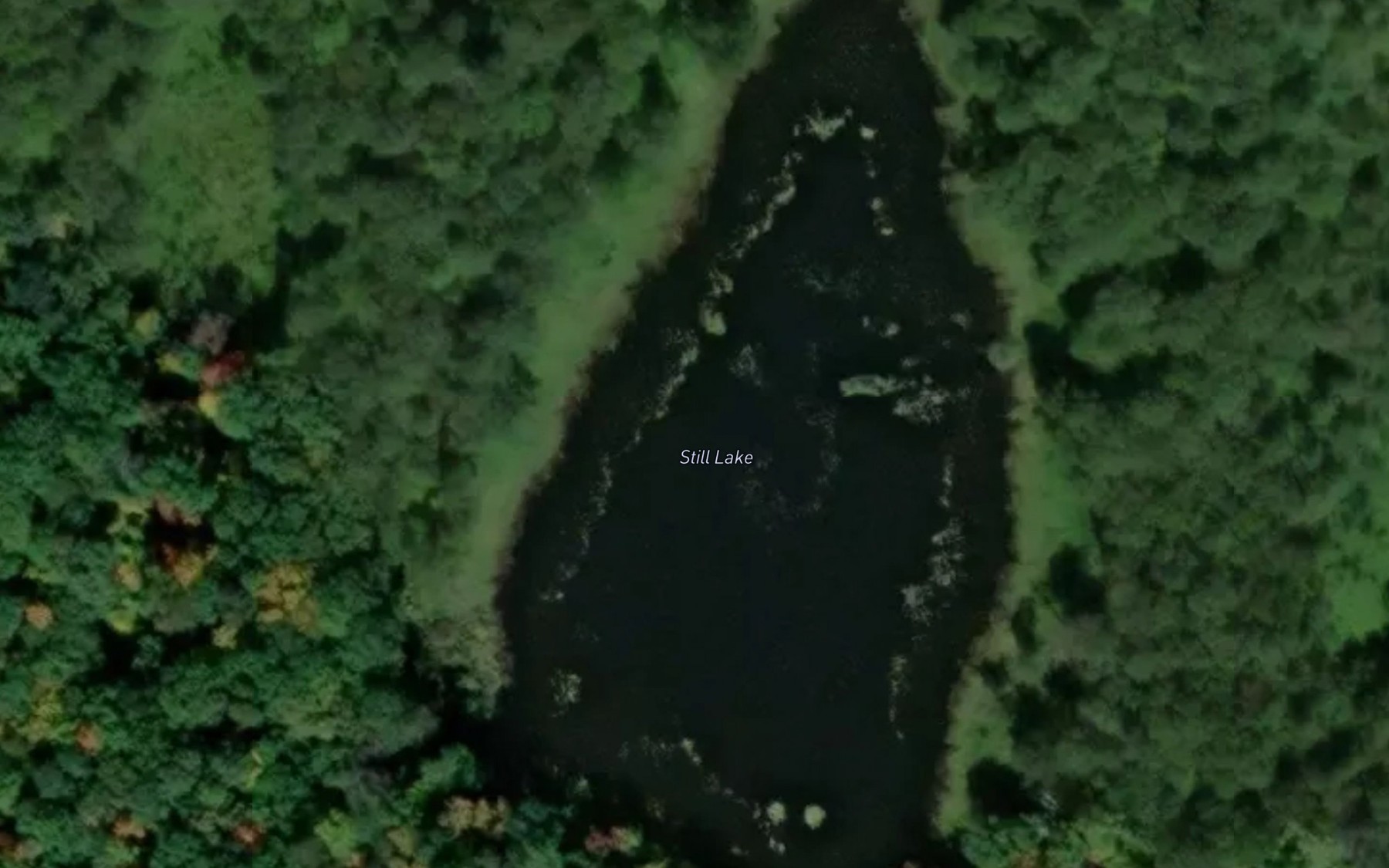 Satellite map of the Still Lake