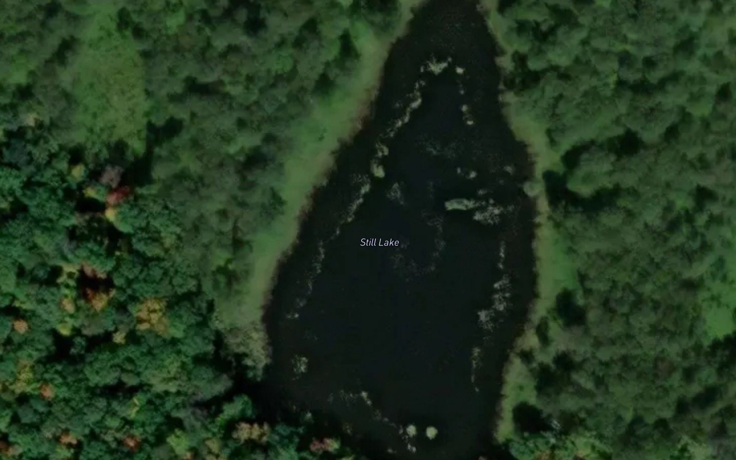 Still Lake