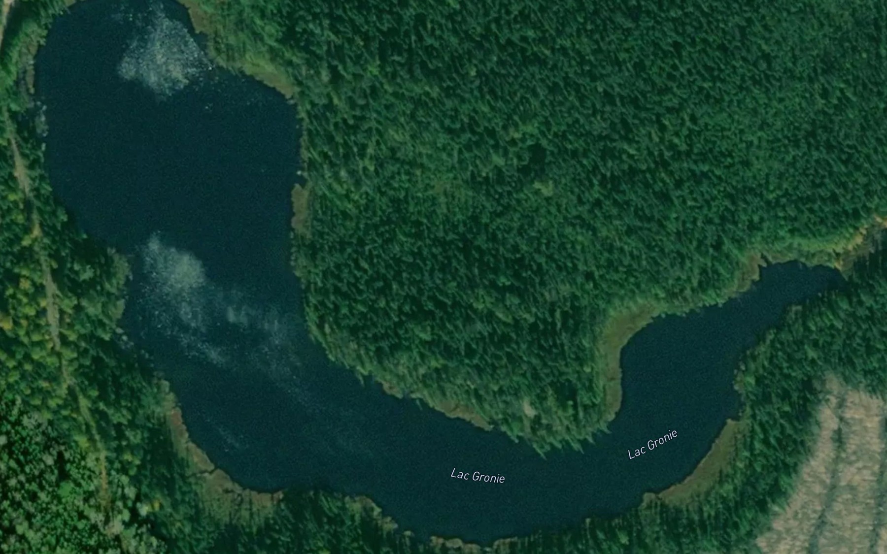 Satellite map of the Lac Gronie