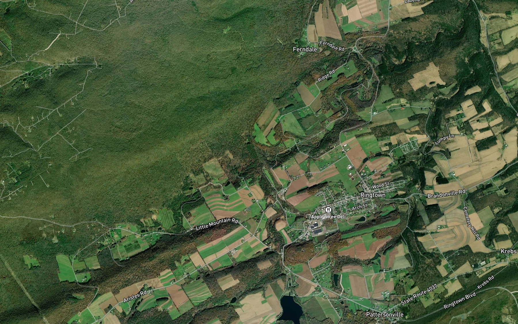 Satellite map of the Trexler Run
